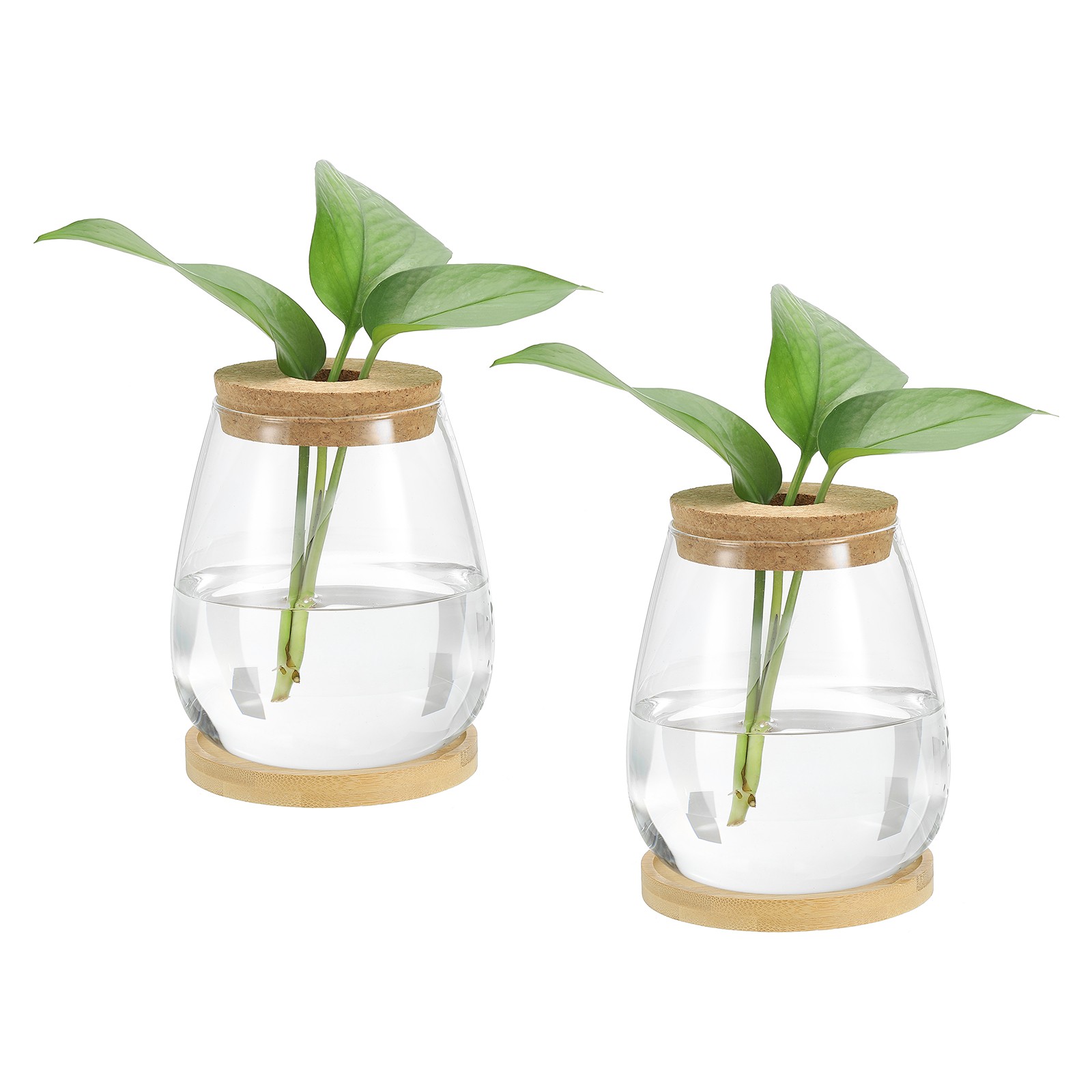 2 Pack Plant Propagation Station Glass Vases with Wooden Tray & Lid, Brown