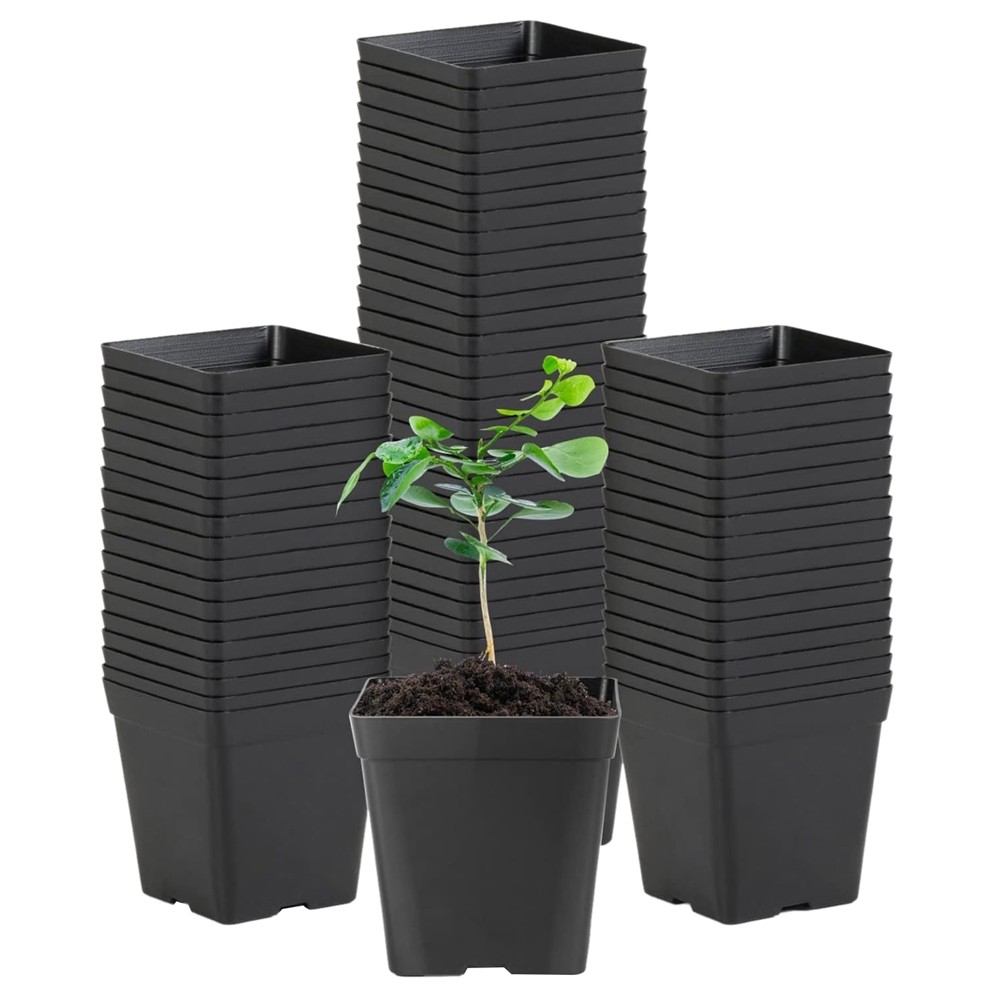 Square Seedling Pots are for Plants and Succulents in Square Pots Black7227