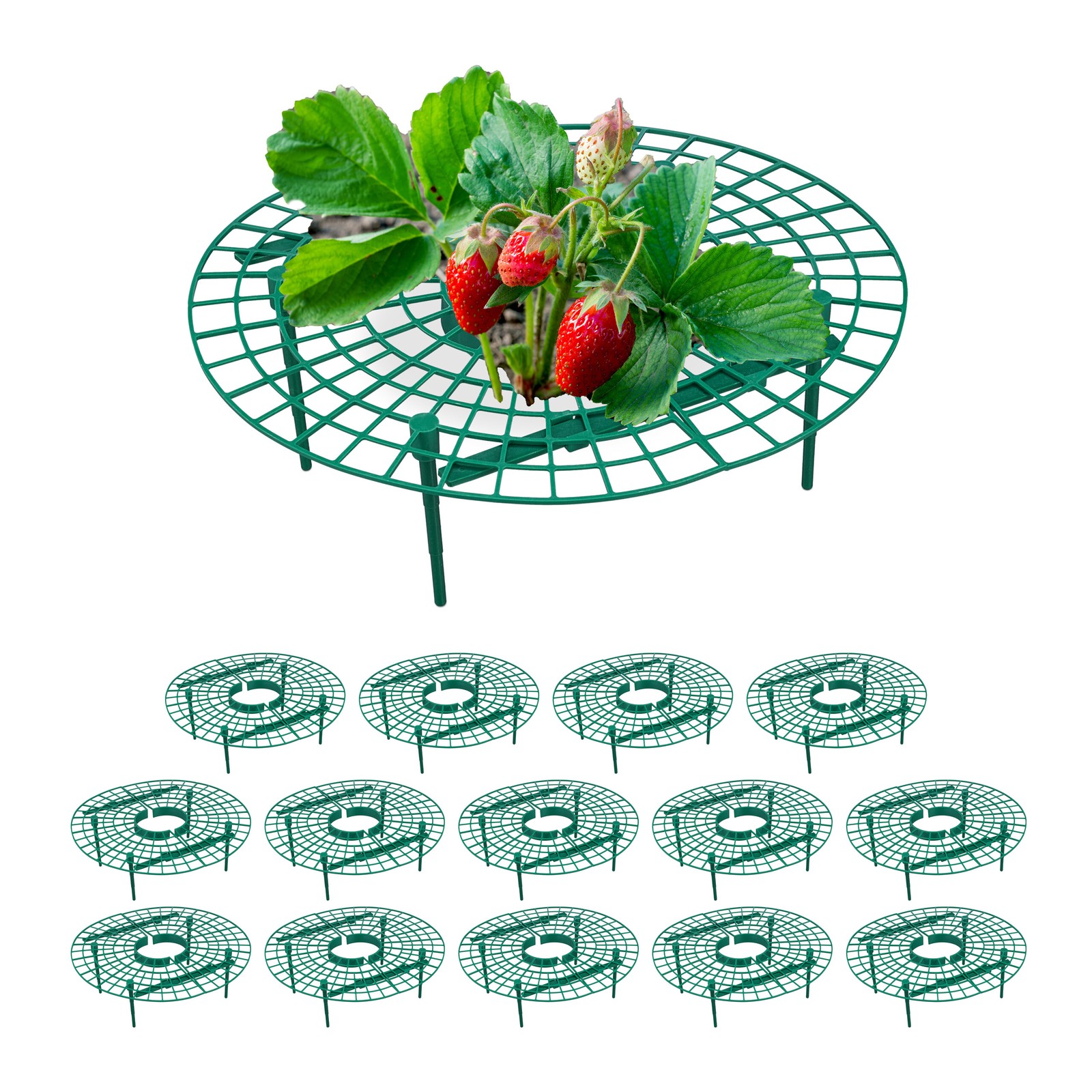 15x Strawberry Support Net to Protect Plants & Flowers from Snails Prevent Mould