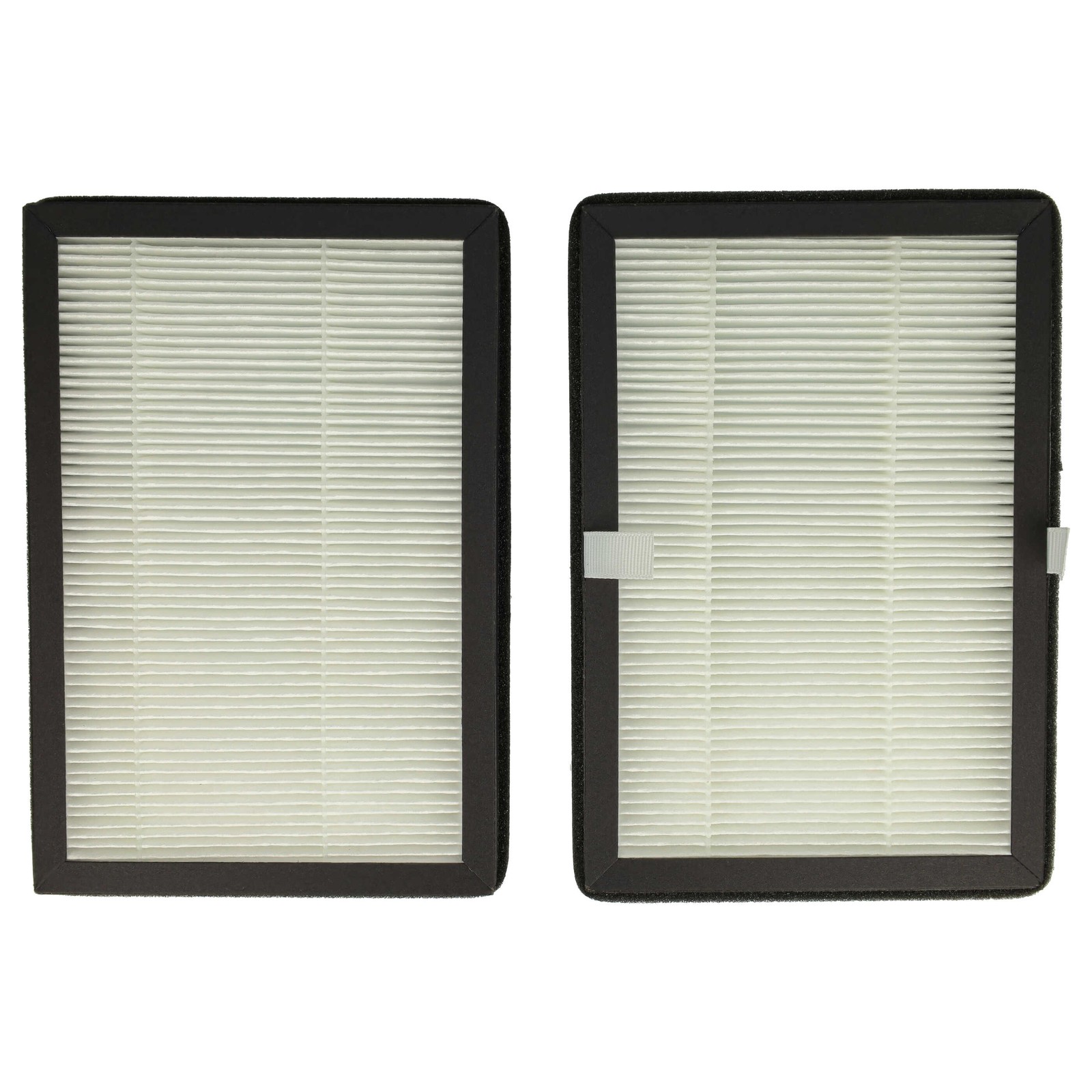 2x particle filter for Rowenta XD6520F0