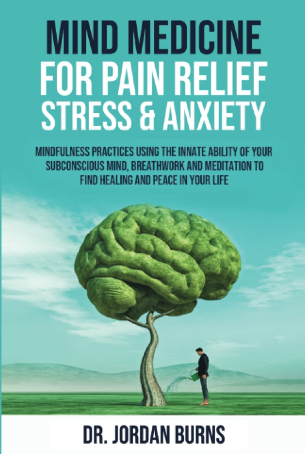 Mind Medicine For Pain Relief, Stress and Anxiety: Mindfulness Practices Using
