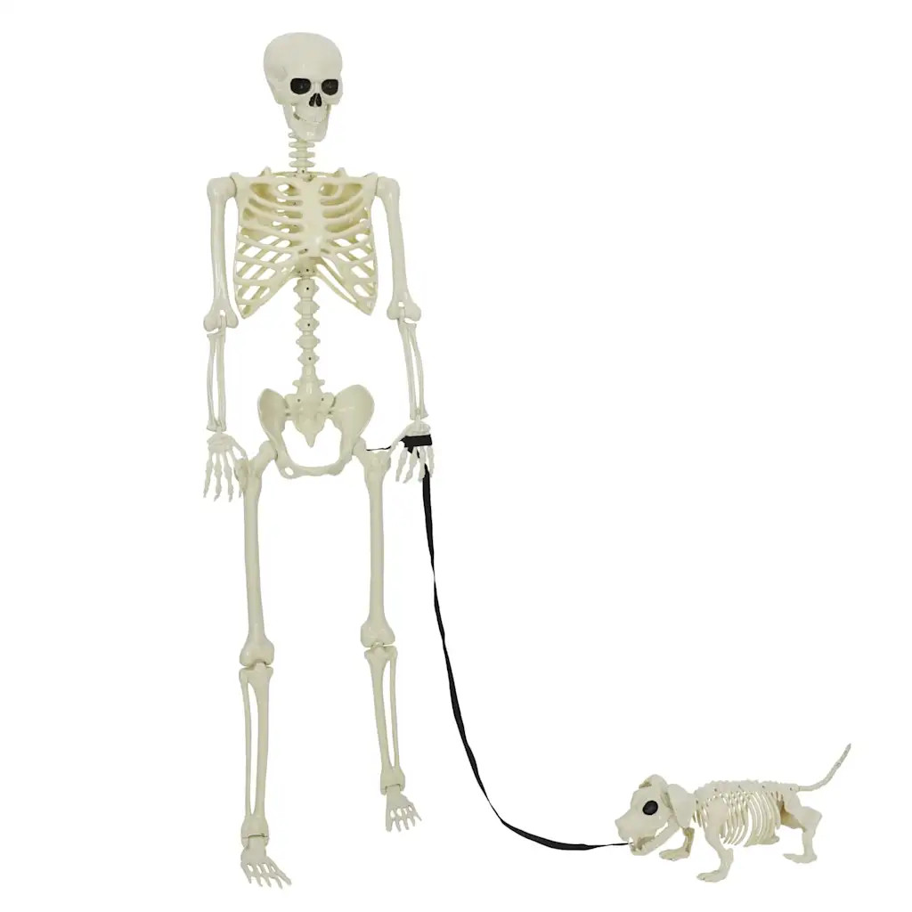 vidaXL Halloween Decoration Skeleton 2 pcs White Polypropylene, Spooky Living Ro