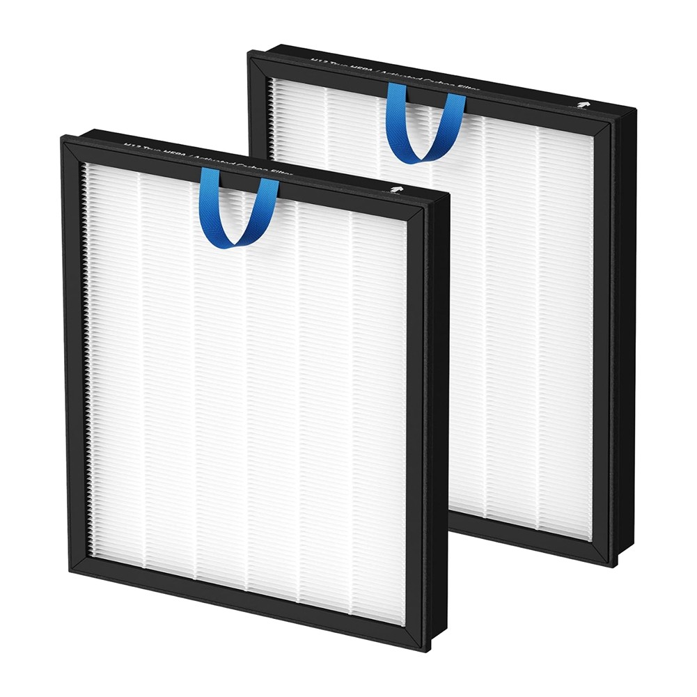 2 Packs Vital 100S Replacement for Vital 100S, HEPA , Remove Dust, Pet4375