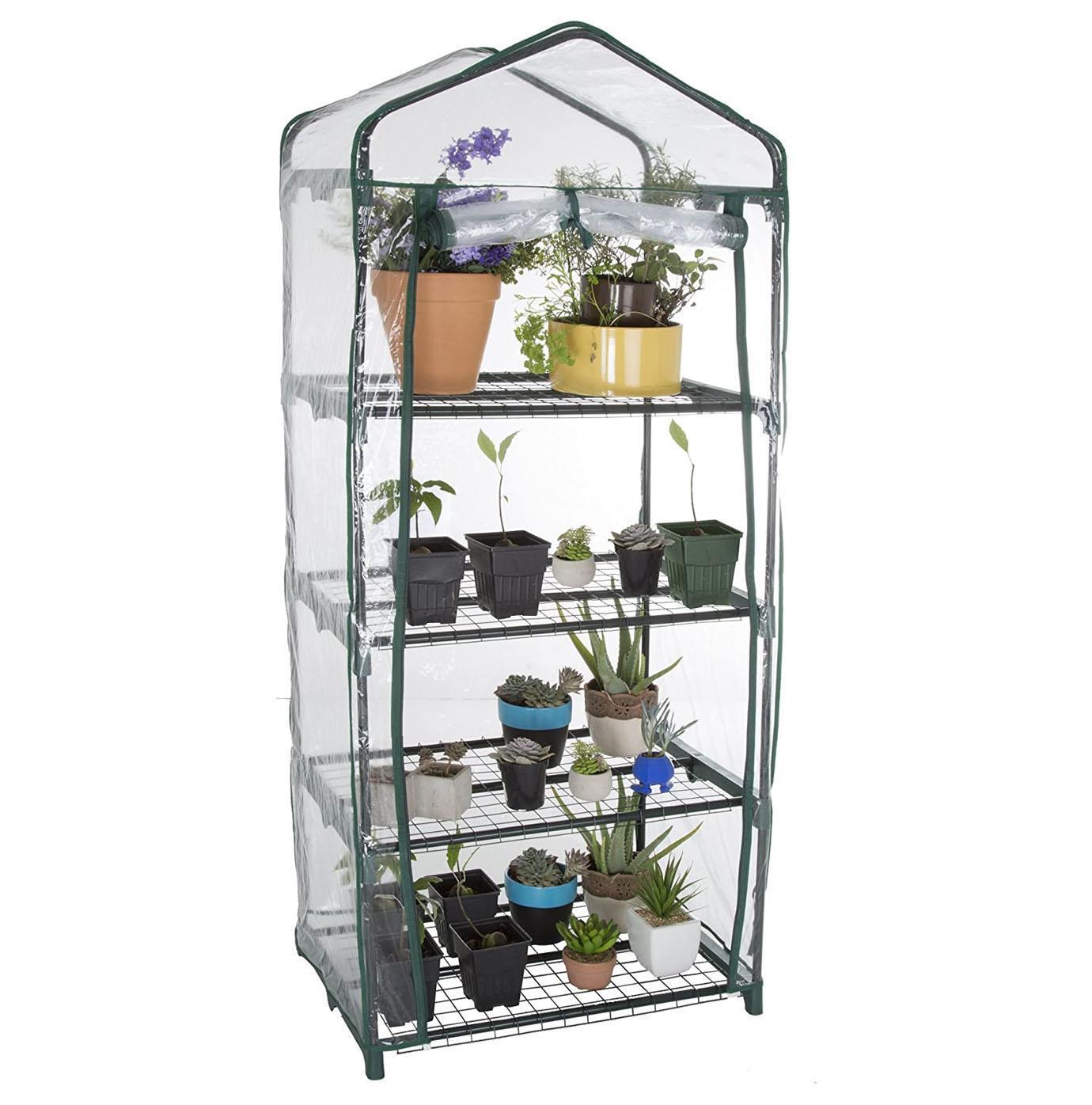 Greenhouse Cold Frame 4 Tier With Shelving & Reinforced Cover Outdoor Garden New