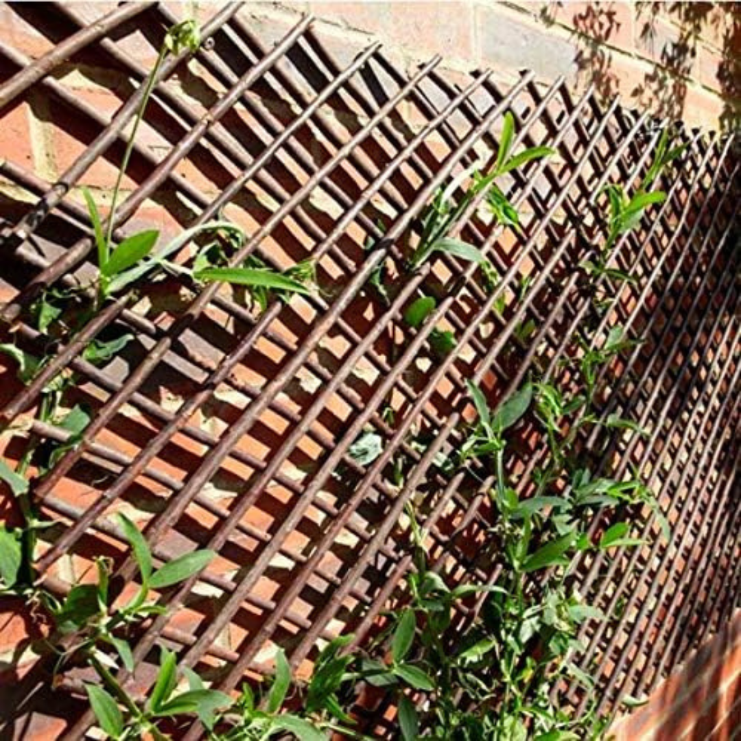 Garden Wooden Trellis Fence Panels Expandable Climbing Plants Easy Install 1.8m
