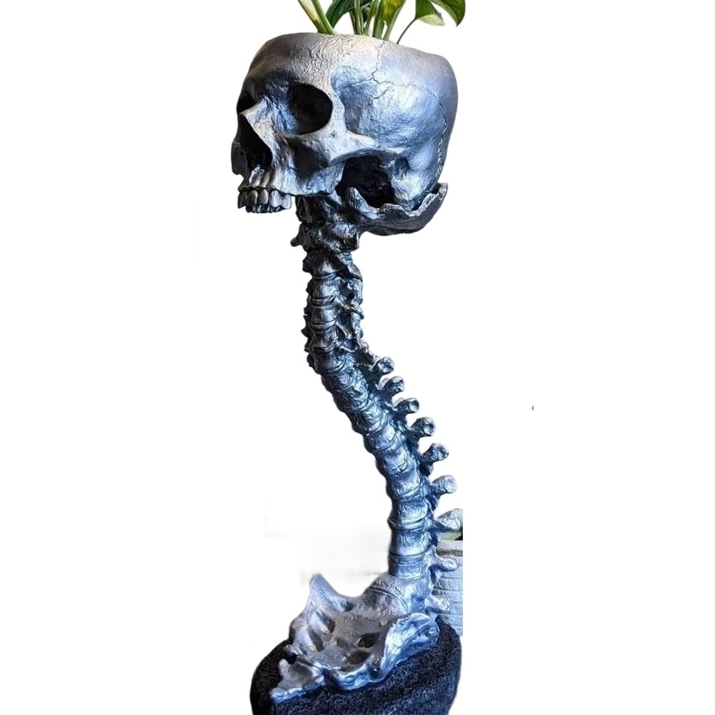 Resin Skull Planter & Spine Stand Set, Polyresin Skulls Pot, Halloween5436