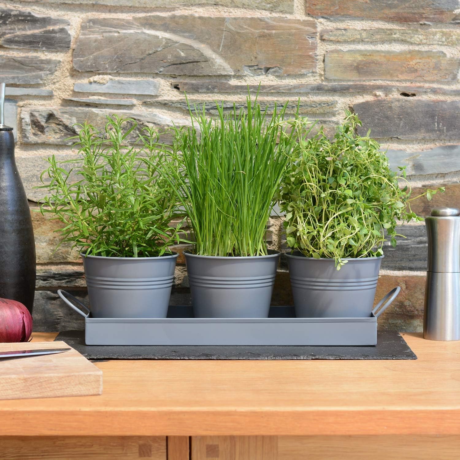 Set of 3 Metal Herb Plant Pots with Drip Tray by CKB Ltd - Traditional Indoor W