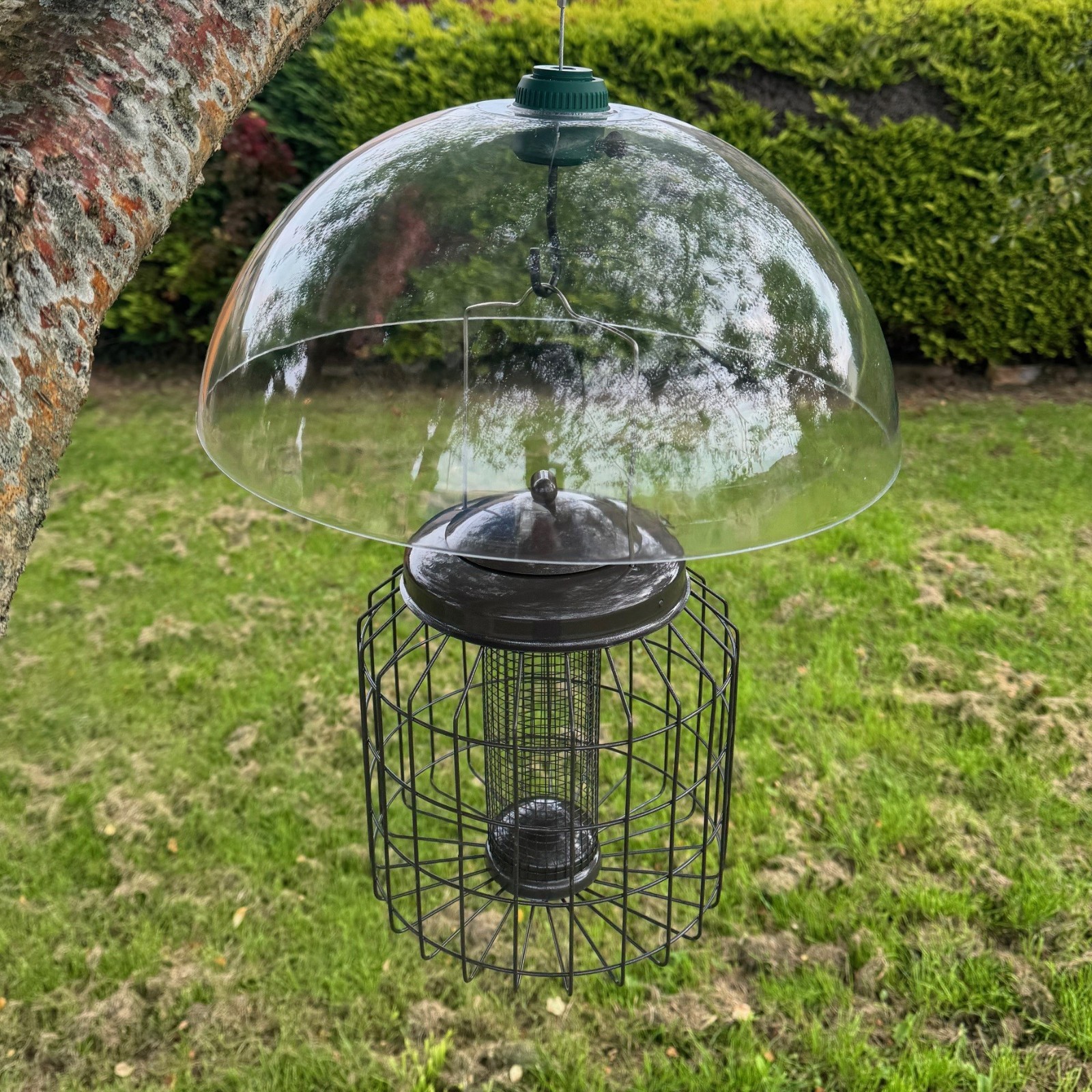 Squirrel Proof Hanging Bird Peanut Feeder with Plastic Baffle Heavy Duty Garden