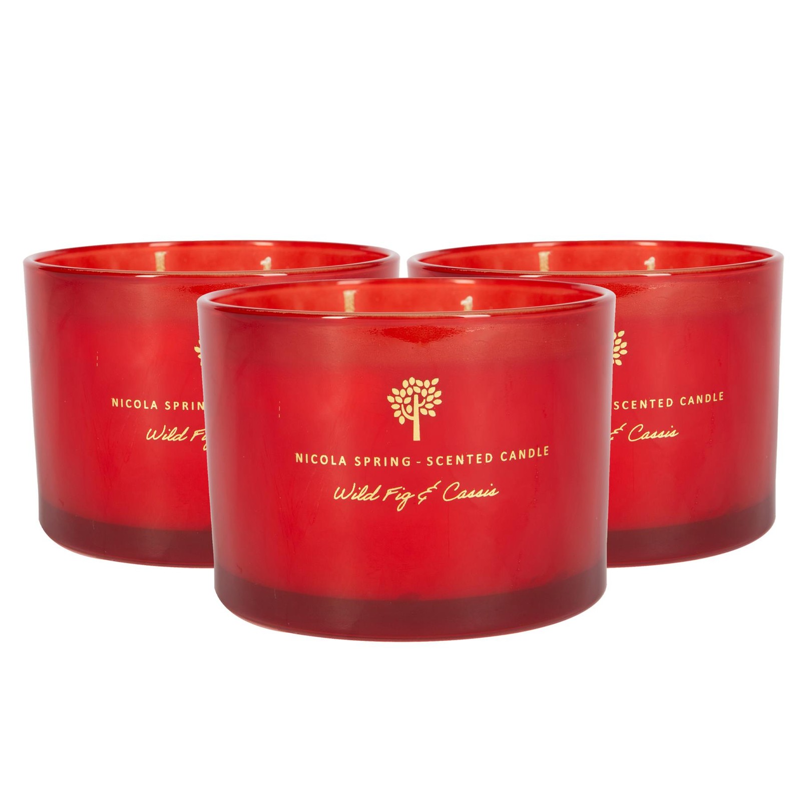 3x Soy Wax Scented Candles Aromatherapy Gift 38hr Burn 350g Wild Fig & Cassis