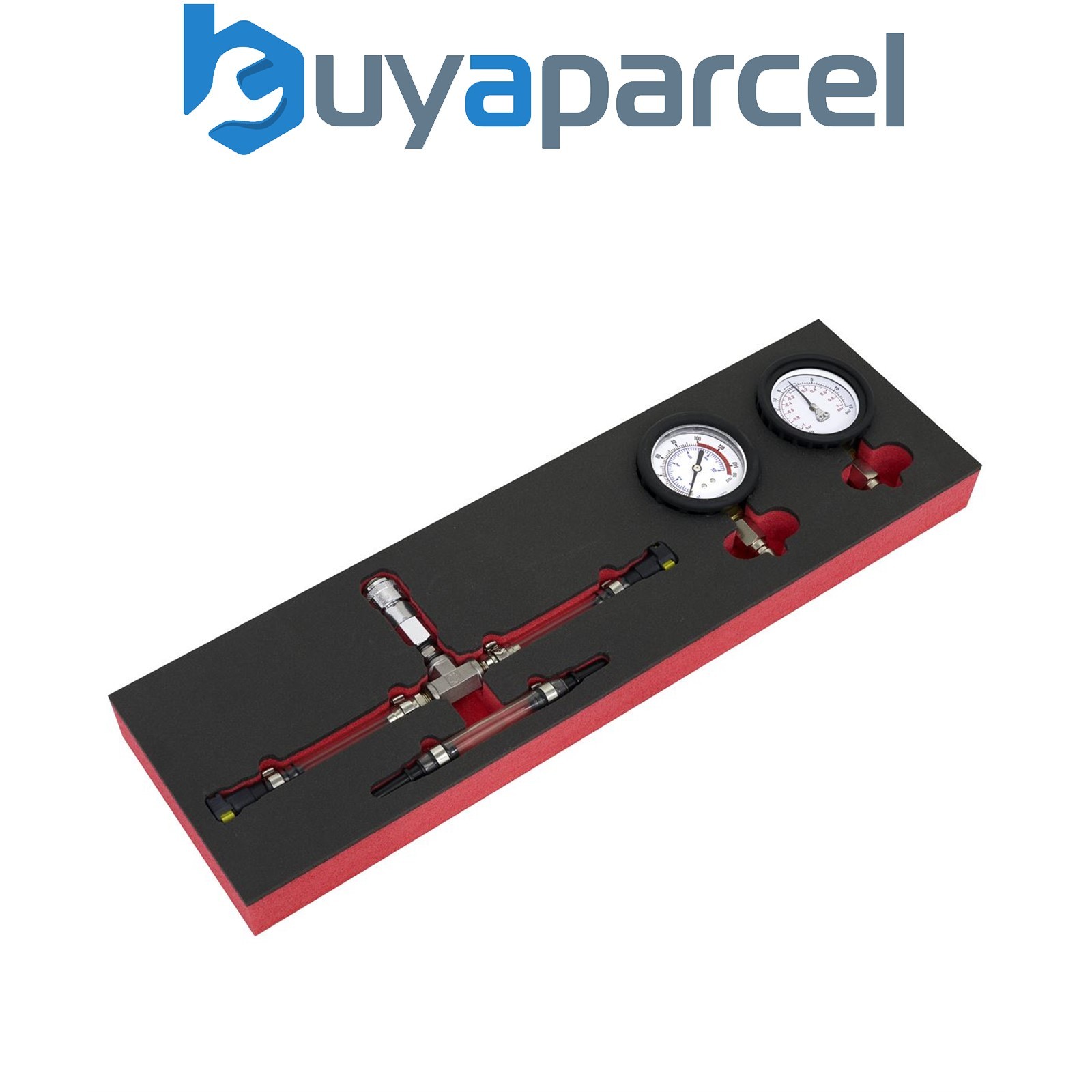 Sealey VS550 Fuel Pressure Gauge Set
