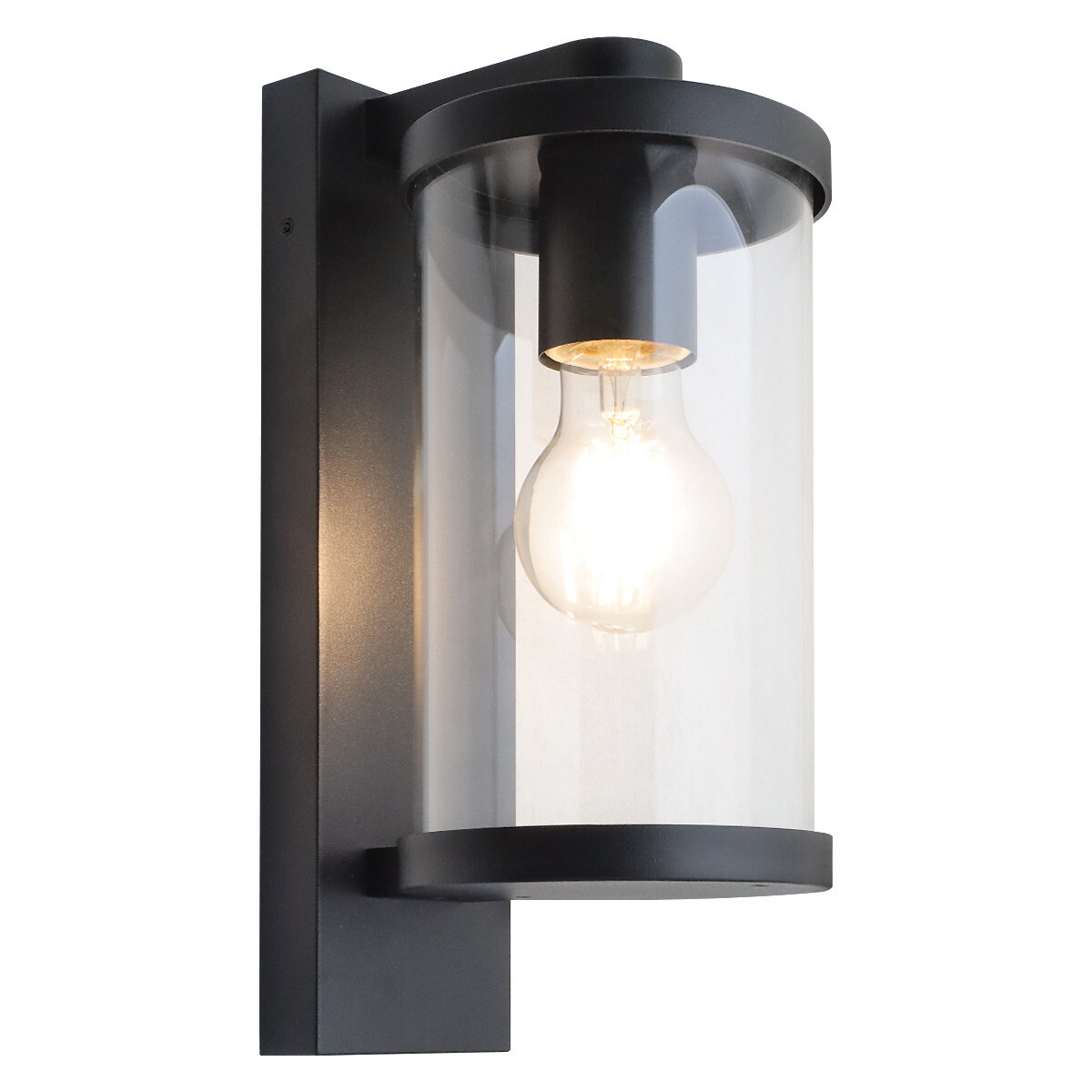 Outdoor Black Wall Lantern Light Clear Diffuser LED 4W Warm White ZLC378