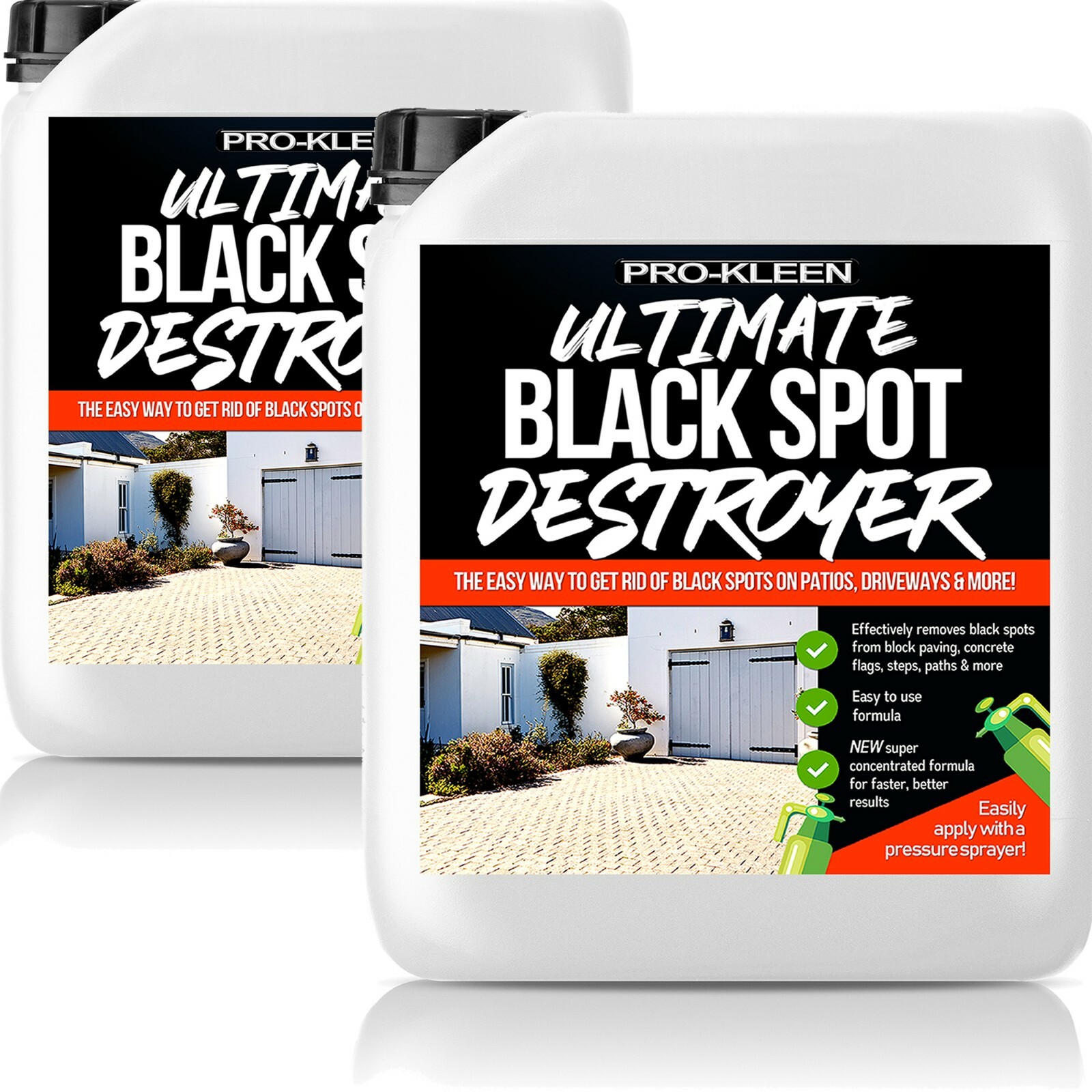 ProKleen Patio Black Spot Remover Lichen Algae Green Mould Killer Drive Way