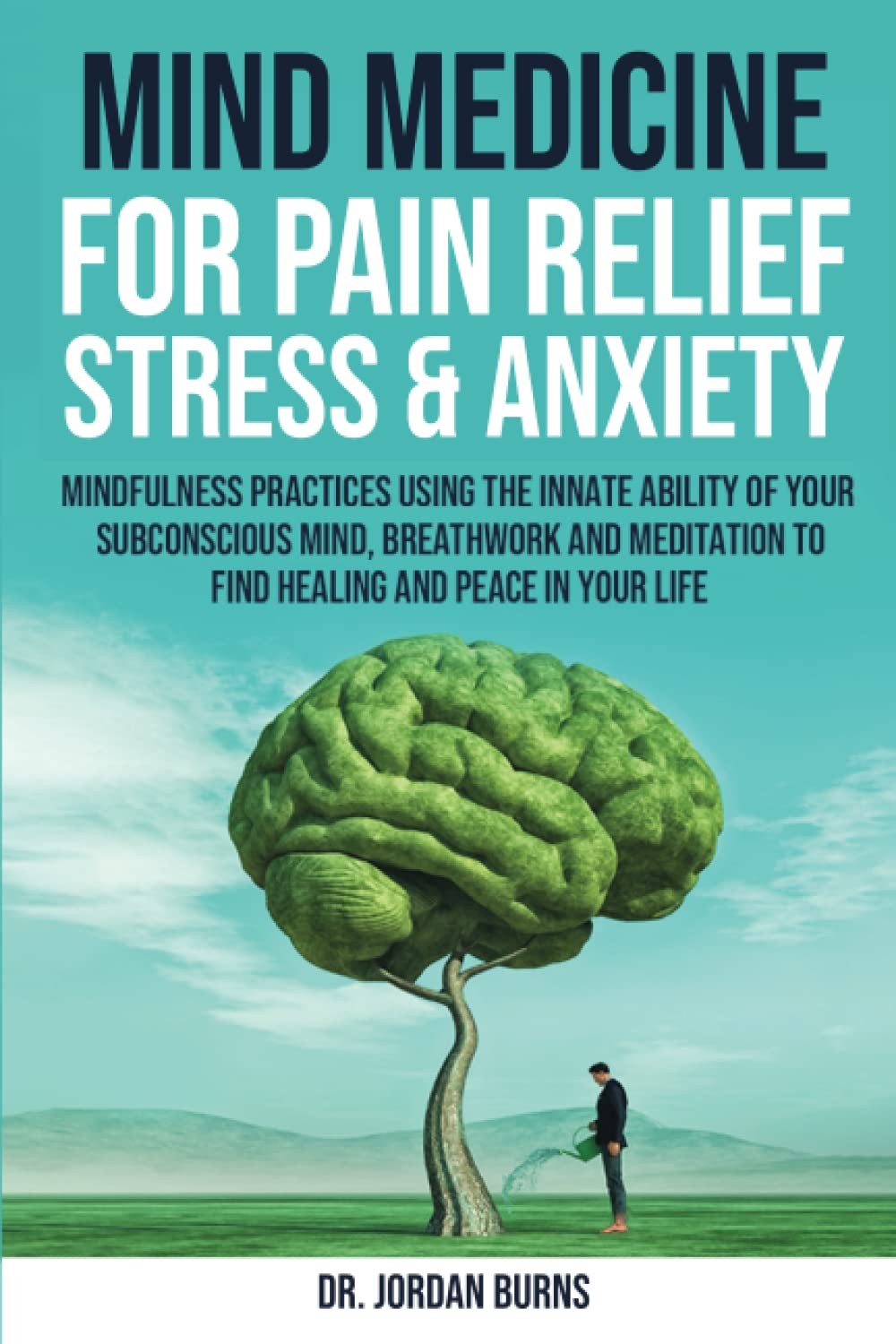 Mind Medicine For Pain Relief, Stress and Anxiety: Mindfulness Practices Using