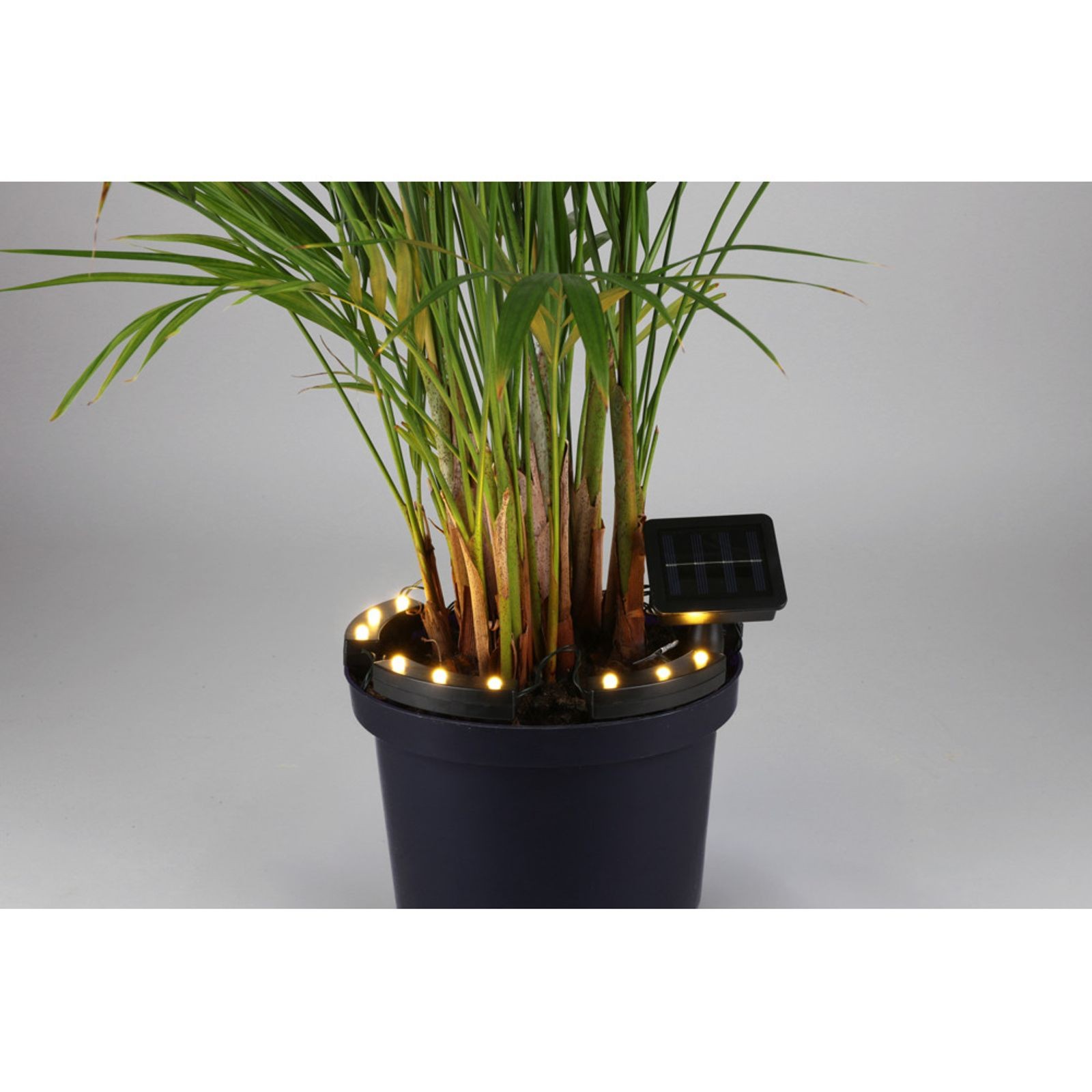 12X Solar LED Lighting Flowers Ø20-25 X 3 Cm Garden Terrace Solar Light