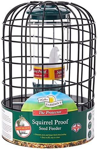 Walter Harrison's Wild Bird Feed Protector squirrel Proof Hanging Seed Feeder -