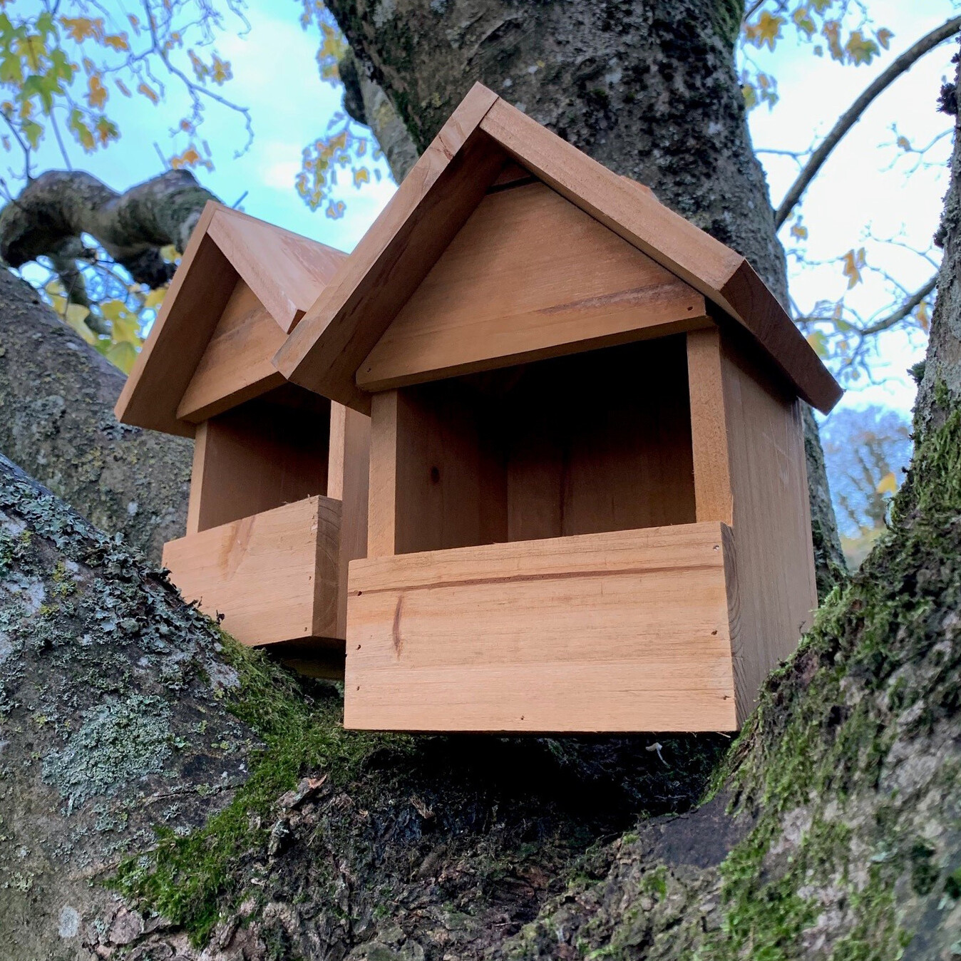 Large Wooden Robin Bird House Nest Box for Wild Garden Birds Wildlife (Set of 2)