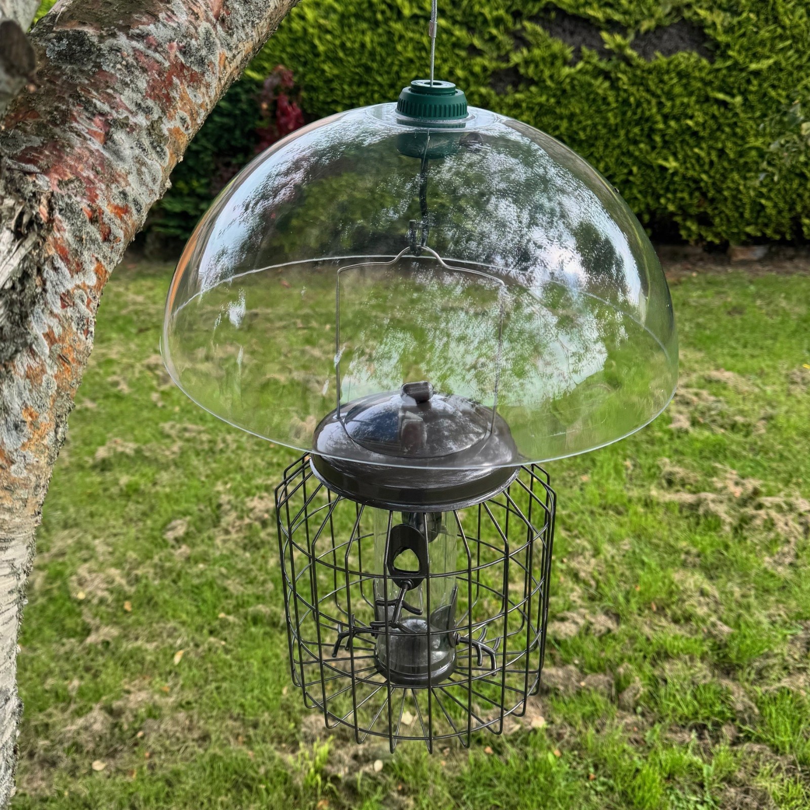Squirrel Proof Hanging Bird Seed Feeder with Plastic Baffle Heavy Duty Garden