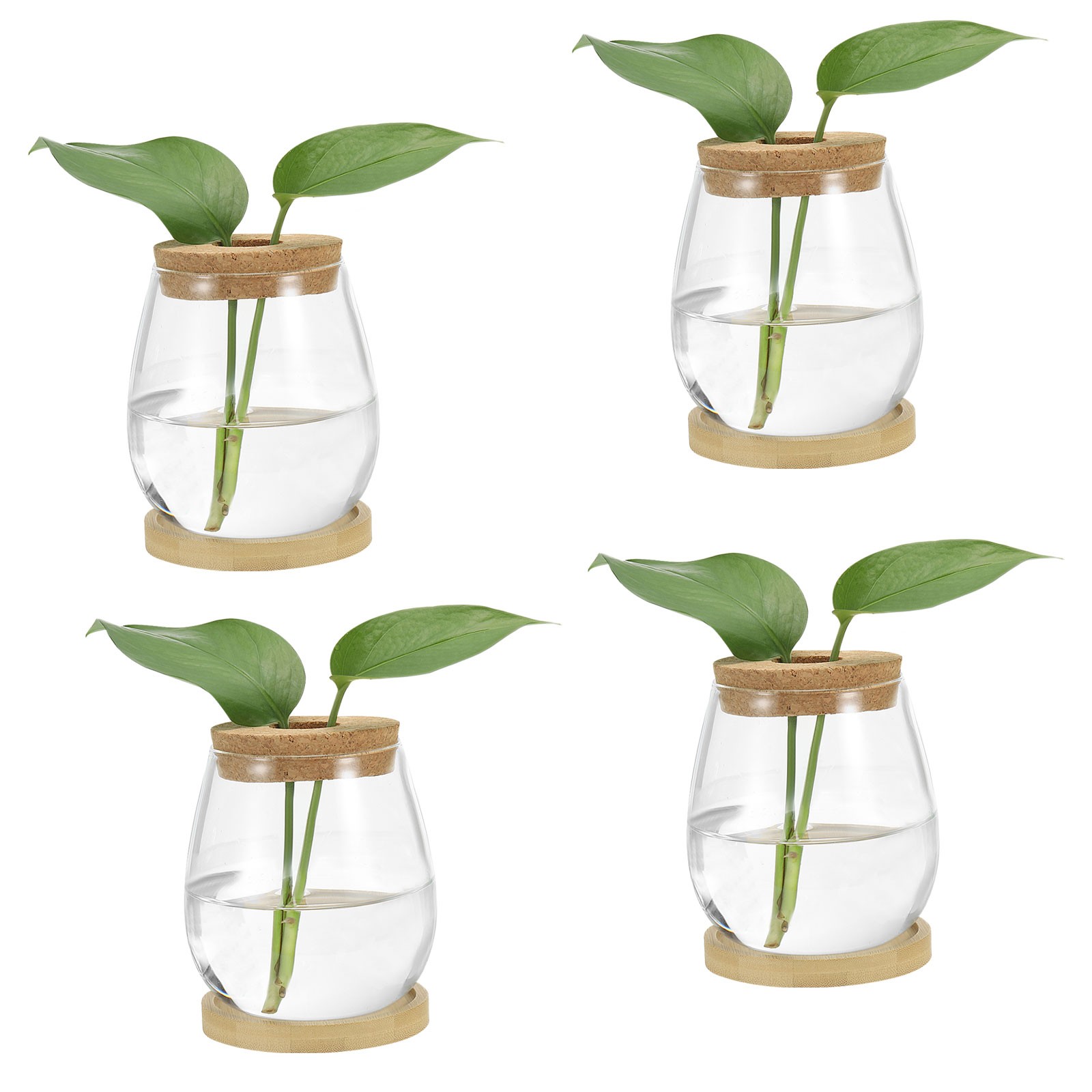 4 Pcs Plant Propagation Station Glass Vases with Wooden Tray & Lid, White