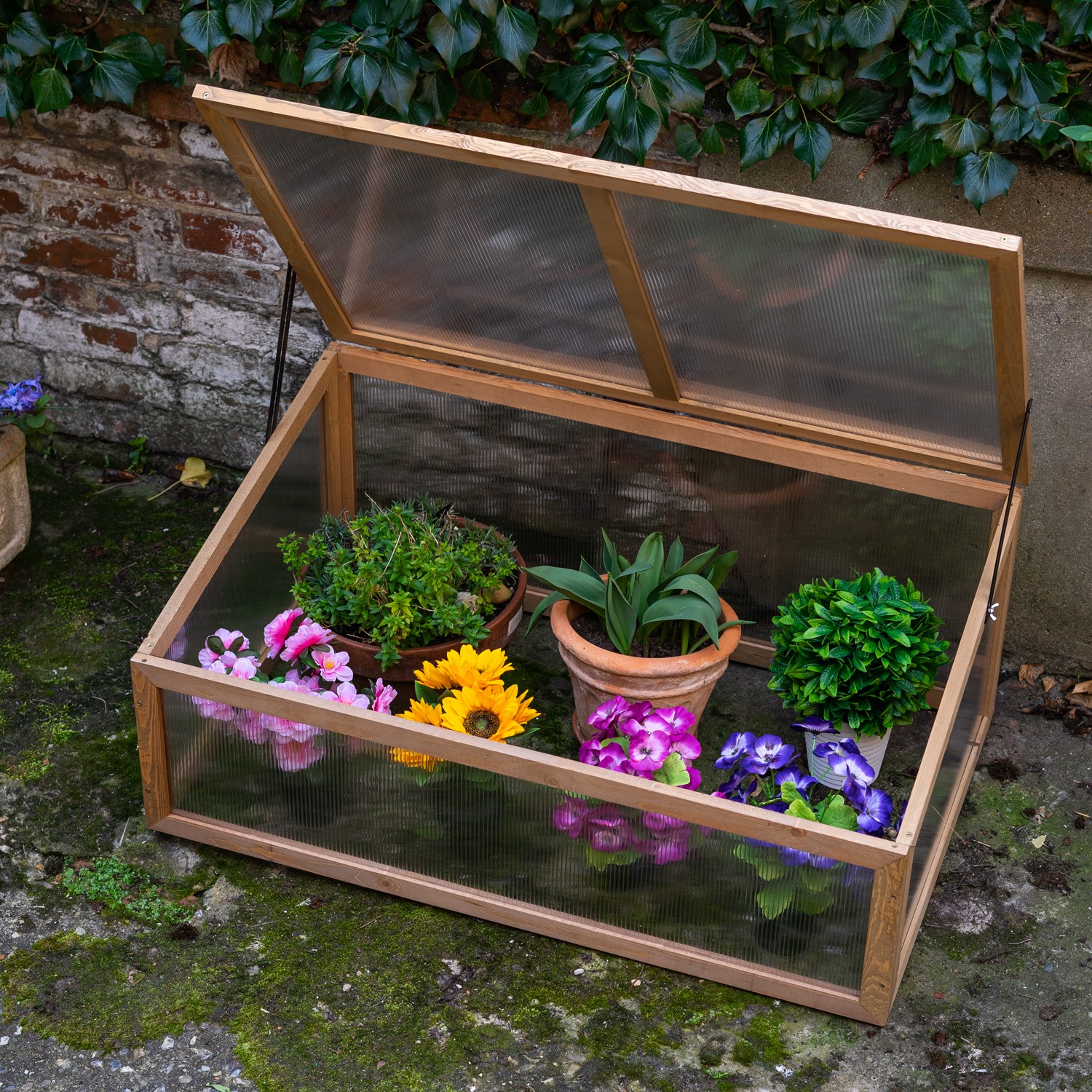 Woodside Outdoor Wooden Plant Flower Vegetable Cold Frame Growhouse