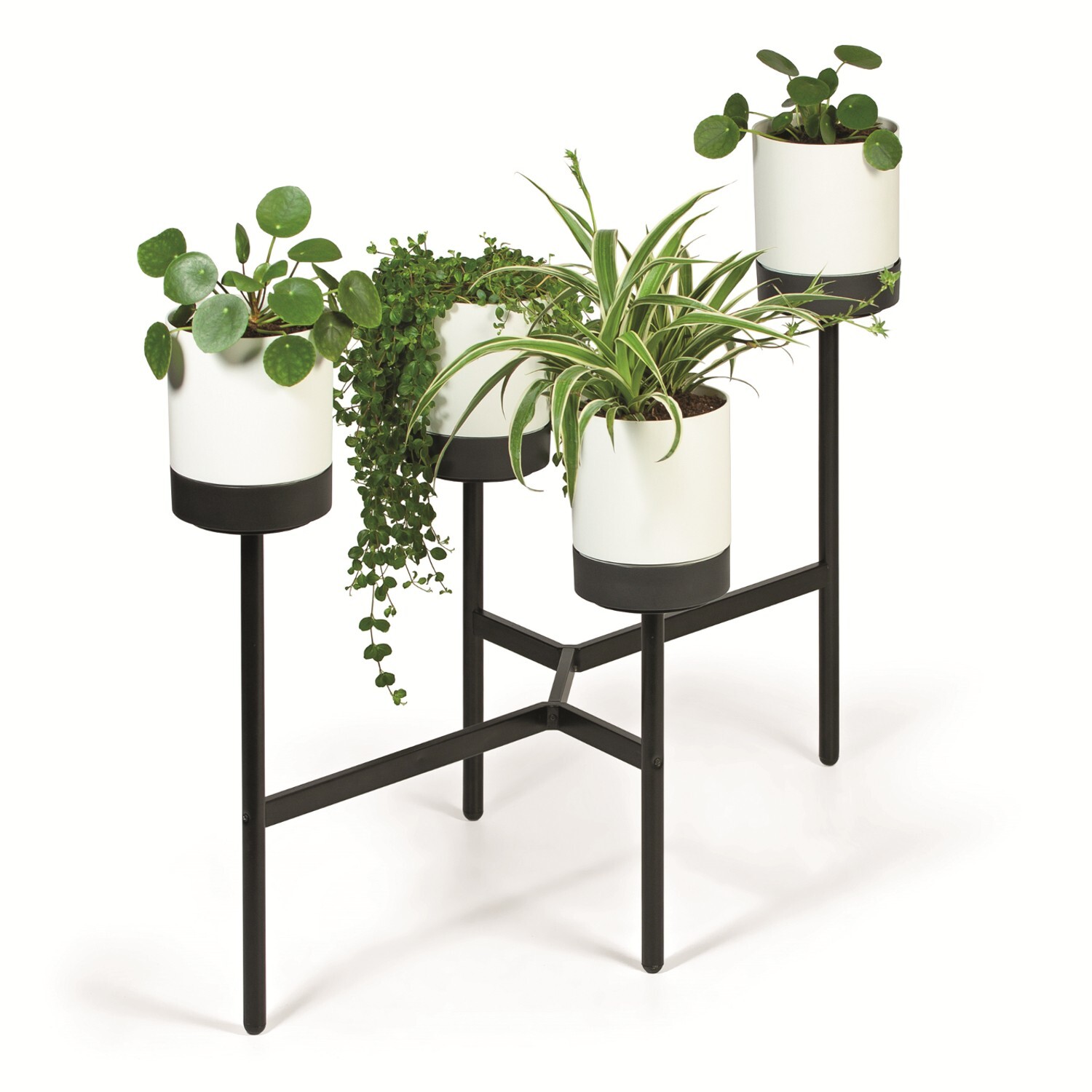 Flower Plant Stand with Pots Industrial Loft Design Decorative Durable Herbs HQ