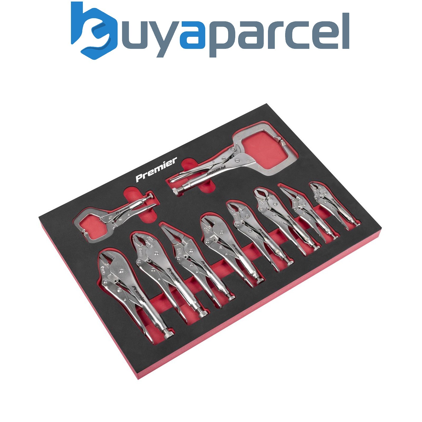 Sealey AK6802 Premier Locking Pliers Set with Foam Tray 10pc