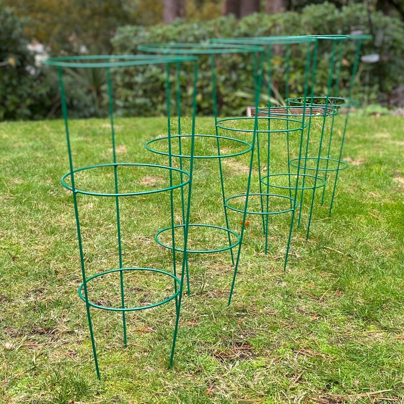 Pack of 5 Metal Conical Garden Plant Support Rings (60cm) Herbaceous Stake