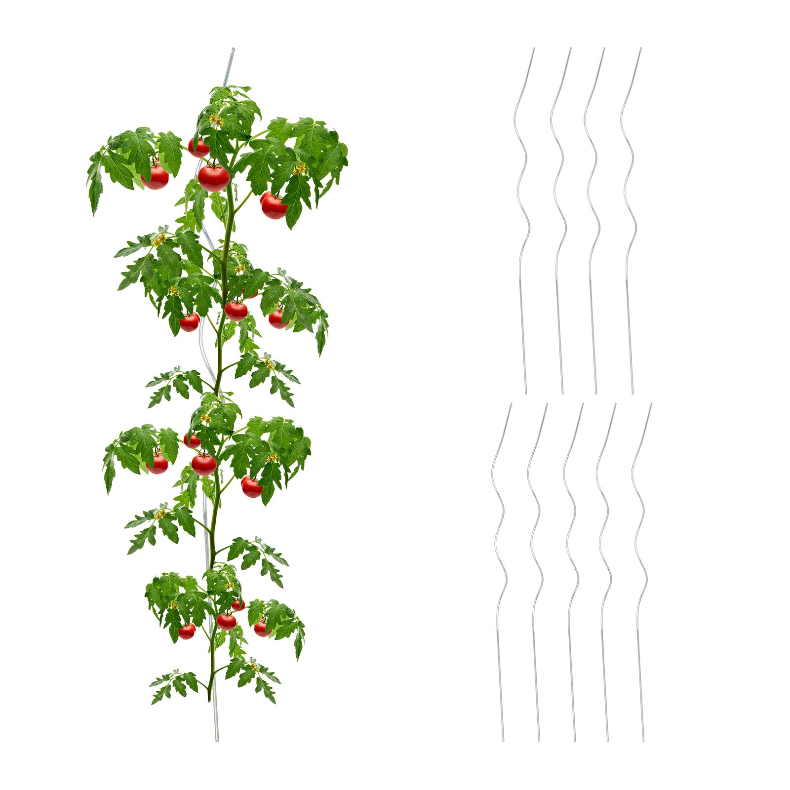 Tomato stakes Vegetable Support Rods Metal Plant Holders Durable 90 cm