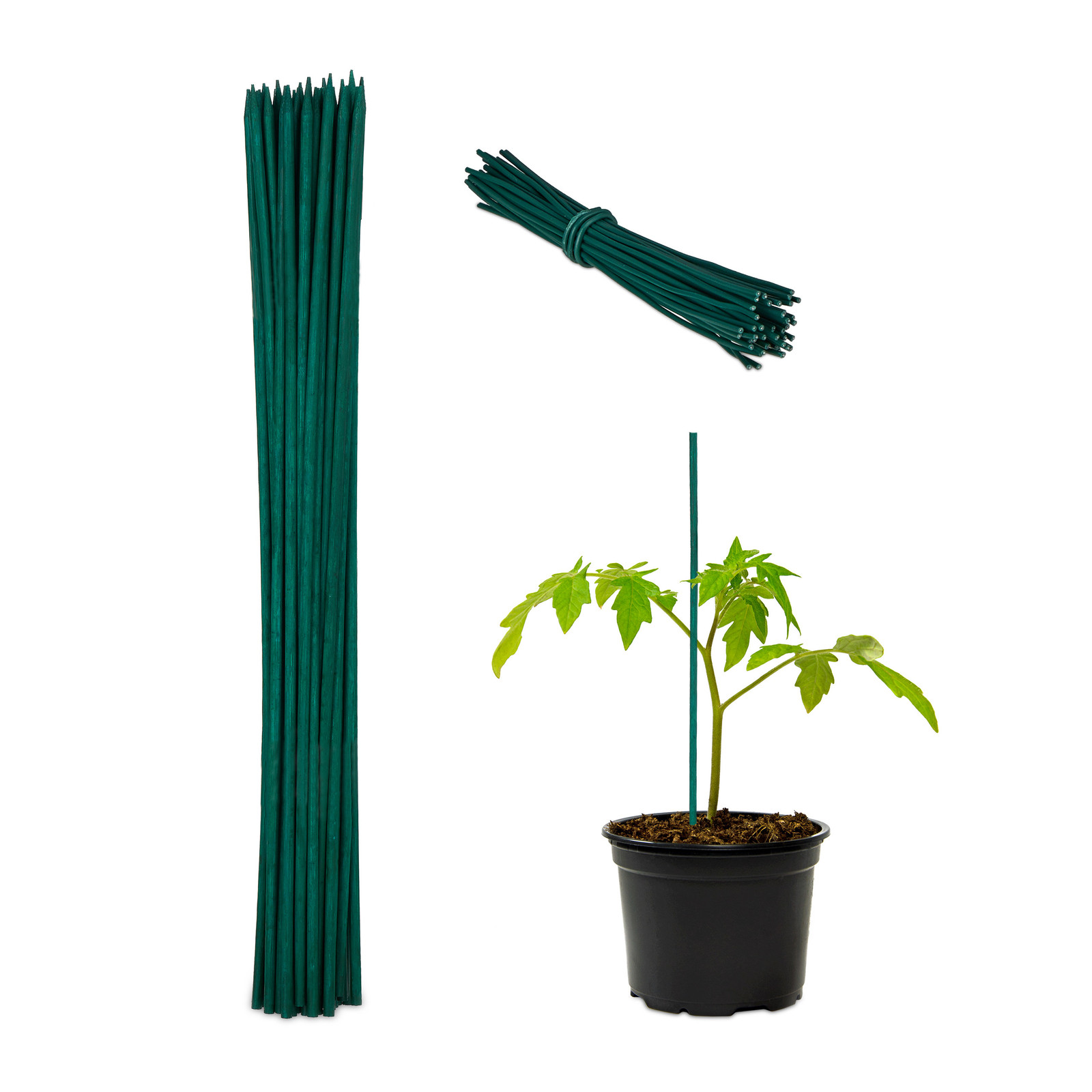 Set Plant Support Tapered Green Bamboo Canes Binding Wires Sticks Garden Crawl
