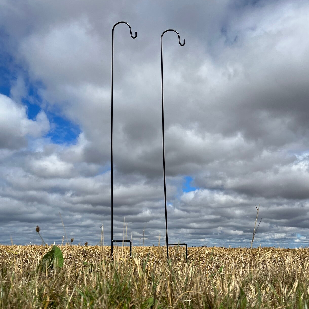 Shepherds Crook Hooks Garden Border Bird Feeder Black Metal (2.18m) Set of 2