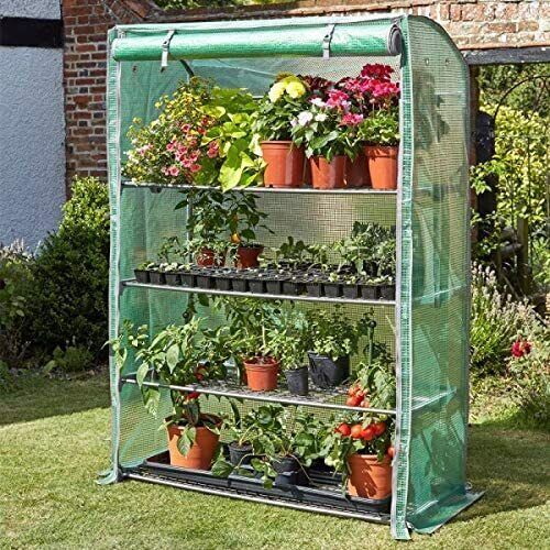 Extra Large Garden Grow House Greenhouse Wide Plant 4 Tier 170cm x 120cm Tomato