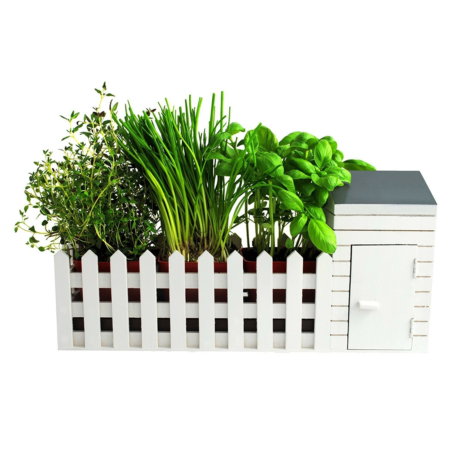 Indoor Kitchen Window Shed Herb Plant Pot Gardening Allotment Planter Gifts Set
