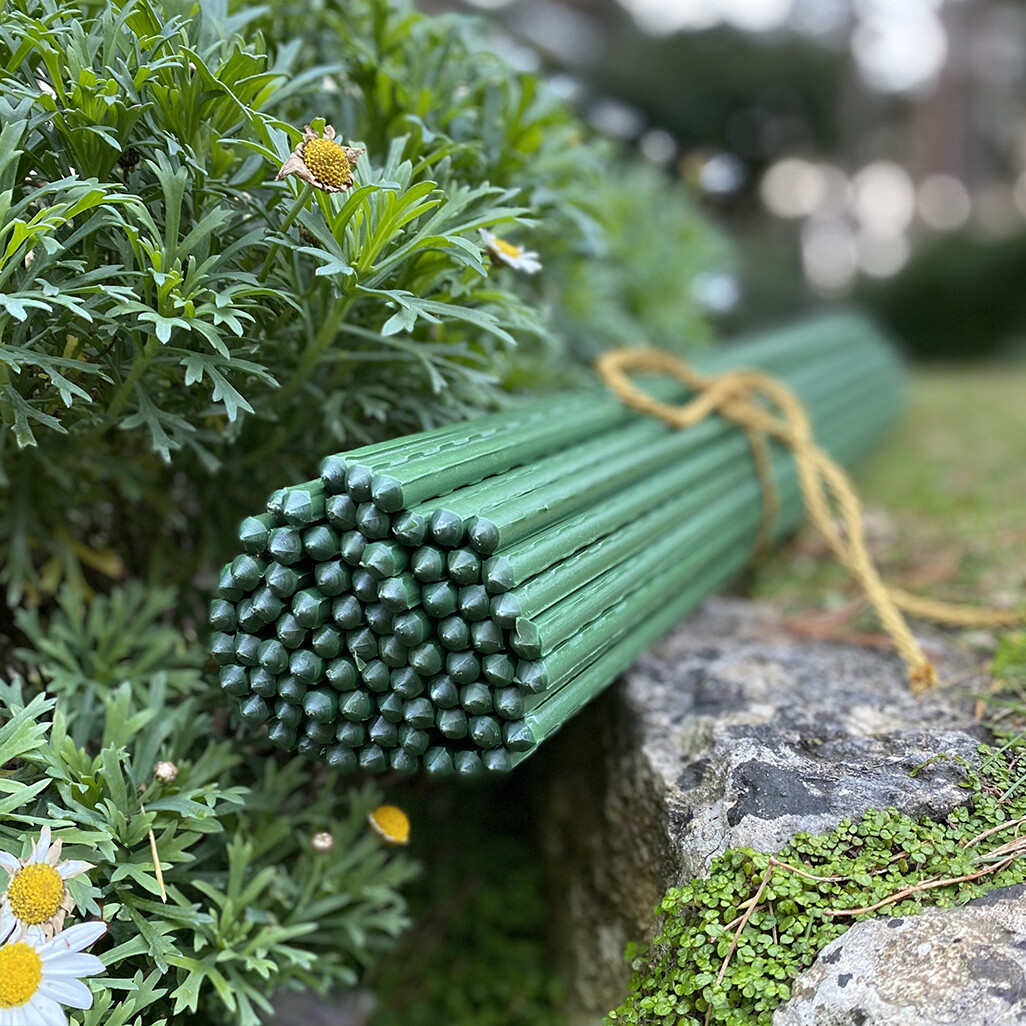 Plant Support Stakes Sticks Set of 80 Plastic Coated Metal Garden (60cm)