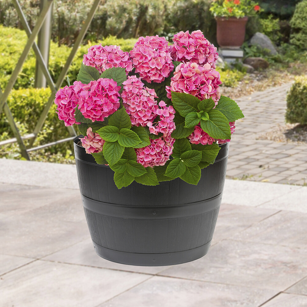 Barrel Planters Set of 3, 50L pots, frost resistant, lightweight, 45cm wide
