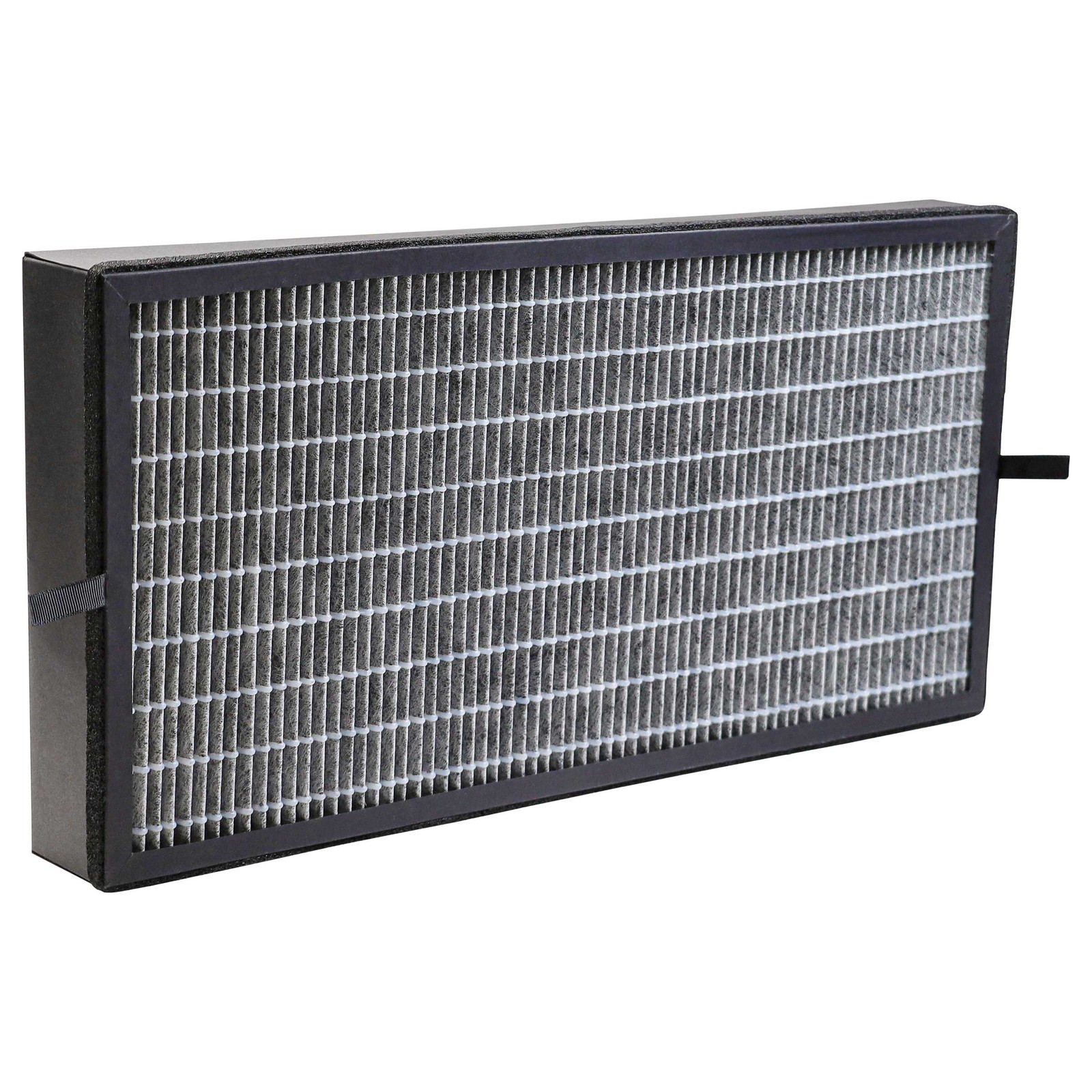 HEPA Activated Carbon Filter for Kärcher AF 100