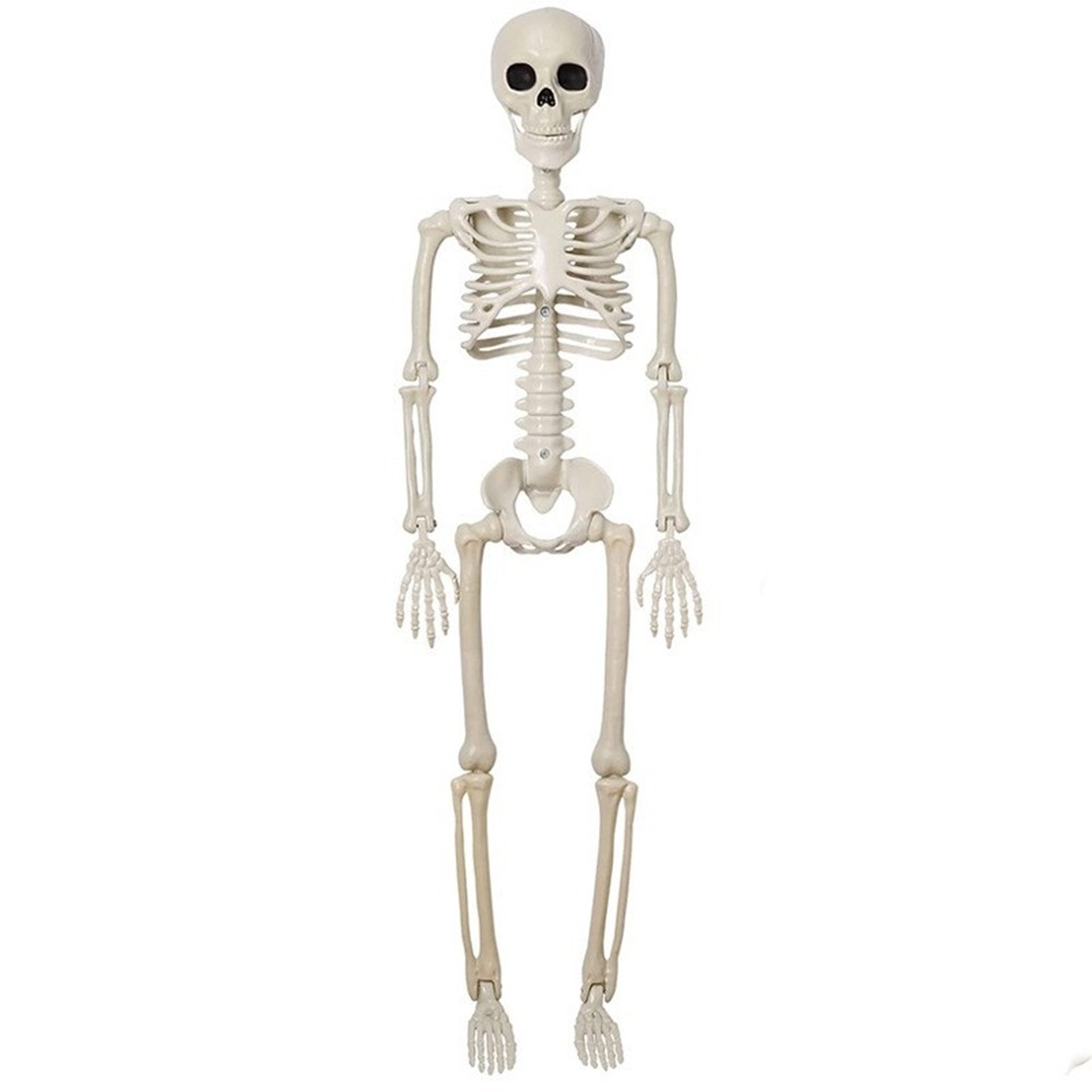 Halloween Skeleton Decoration, Posable Full Body Skeleton with Movable4240