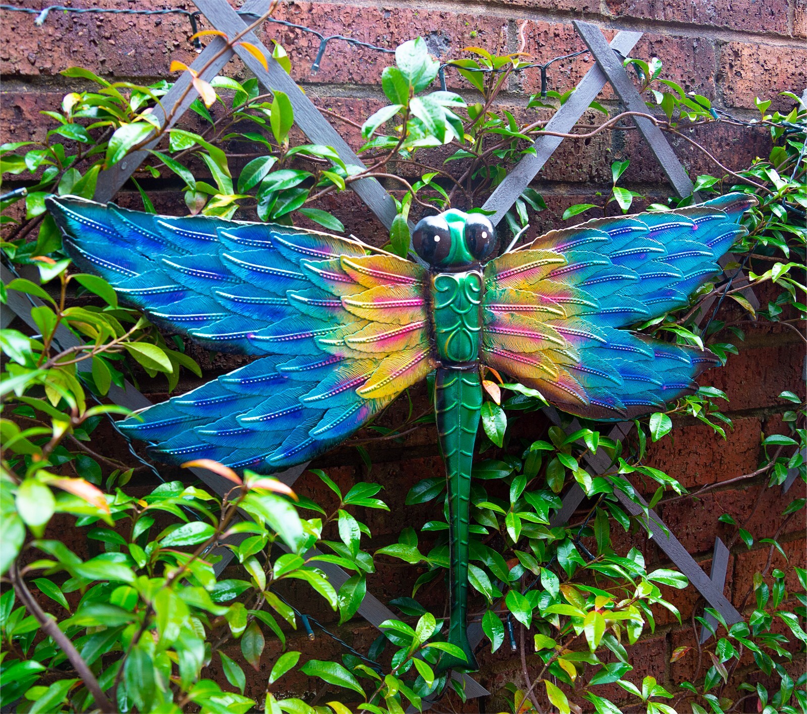 Garden Dragonfly Wall Ornament Metal Multicoloured Wall Mounted Fixings Supplied