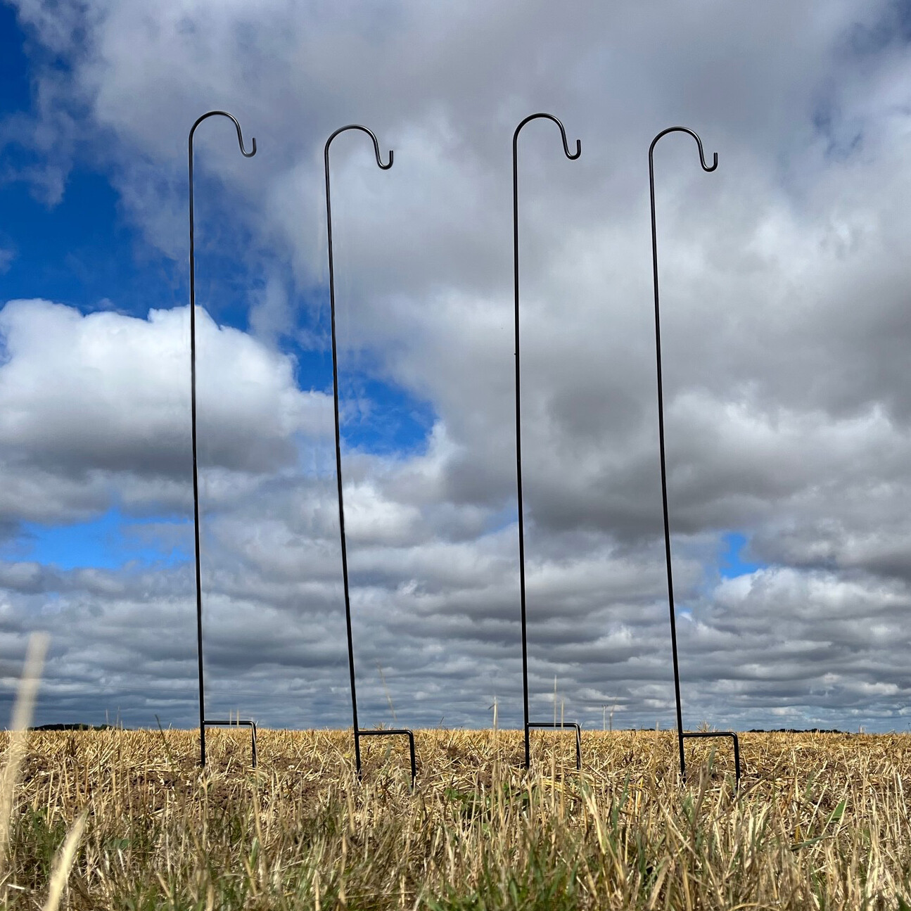 Shepherds Crook Hooks Garden Border Bird Feeder Black Metal (2.18m) Set of 4