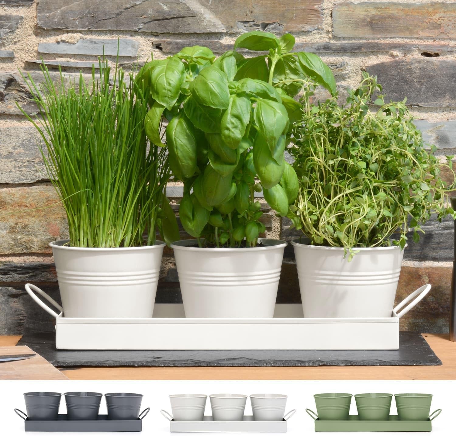 CKB LTD Set of 3 Metal Herb Plant Pots with Drip Tray Traditional Indoor Window