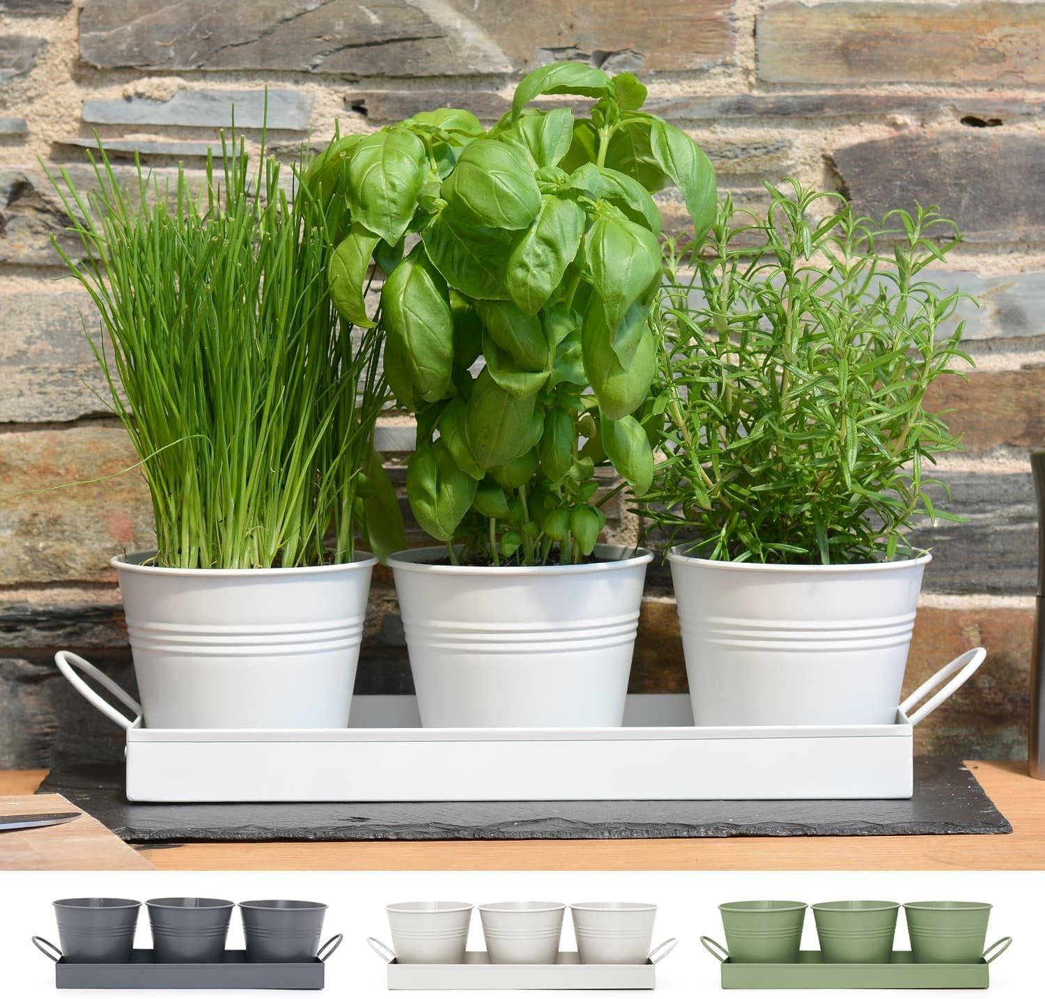 CKB LTD Set of 3 Metal Herb Plant Pots with Drip Tray Traditional Indoor Window