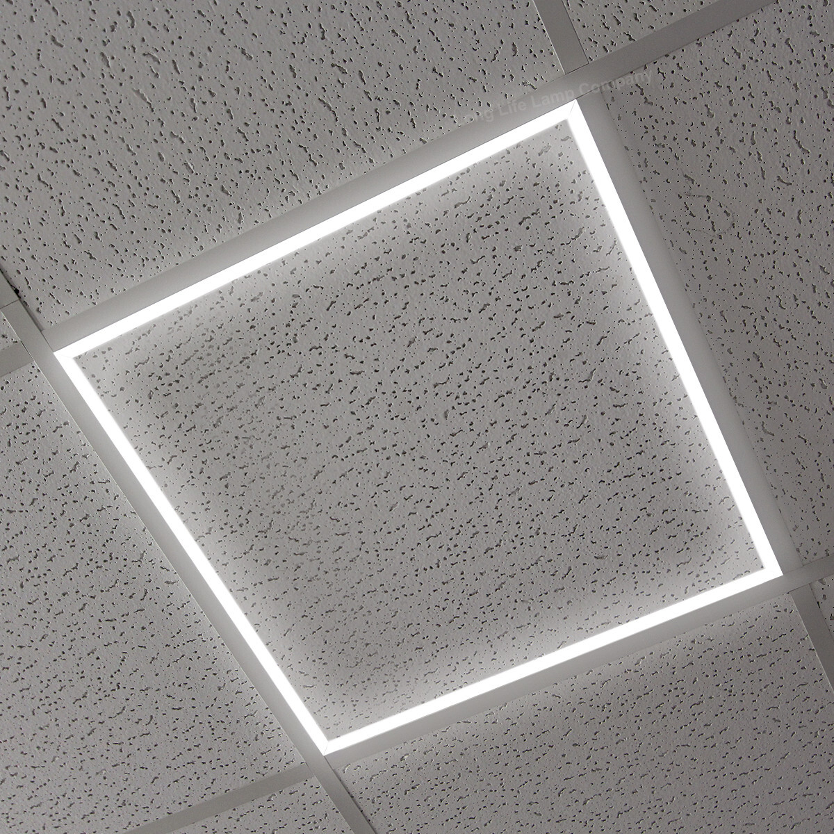40w Ceiling Edge Lit LED Panel 600X600 Recessed Border Frame Light 6500K AP04-CW