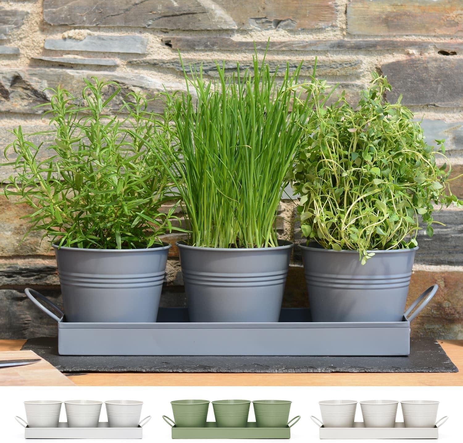 CKB LTD Set of 3 Metal Herb Plant Pots with Saucer Drip Tray Traditional Indoor