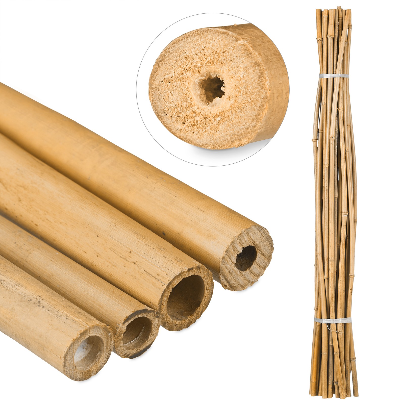 Bamboo canes Natural Plant Stakes 250 Pieces Bamboo Plant Supports 150 cm