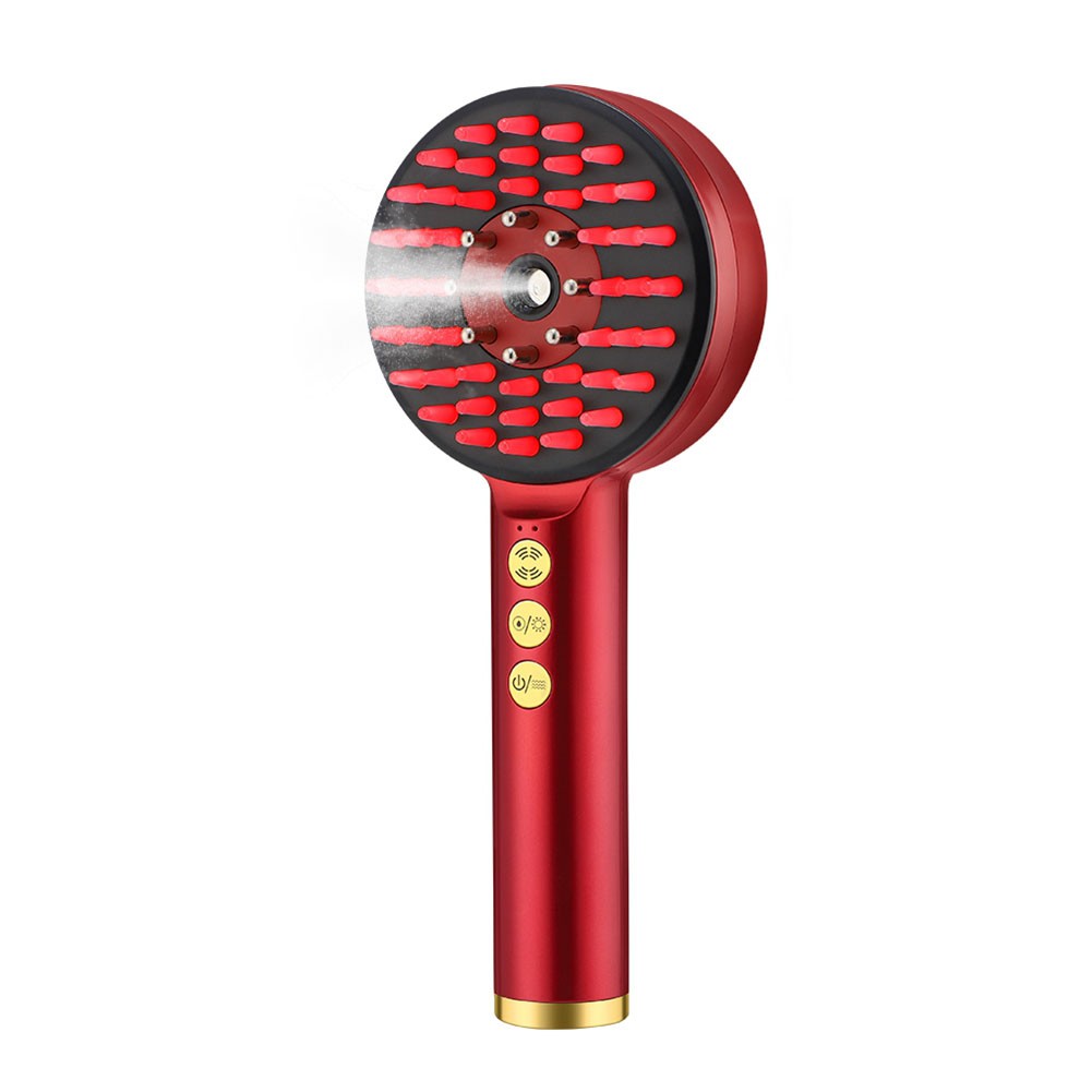 2X(EMS Vibration Scalp Massage Comb Atomized Portable Red Light Follicle1899