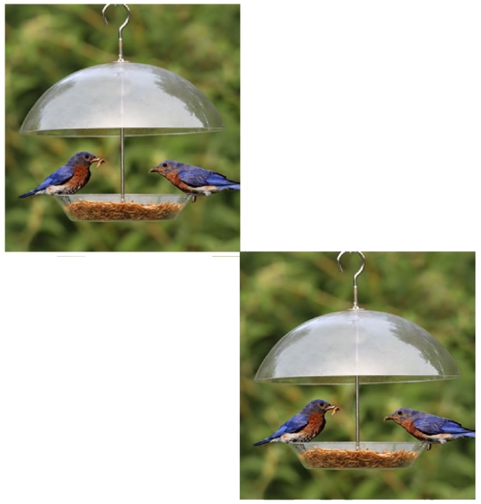 Set Of 2 Dome Wild Bird Hanging Seed Feeder For Small Garden Birds Clear Cover