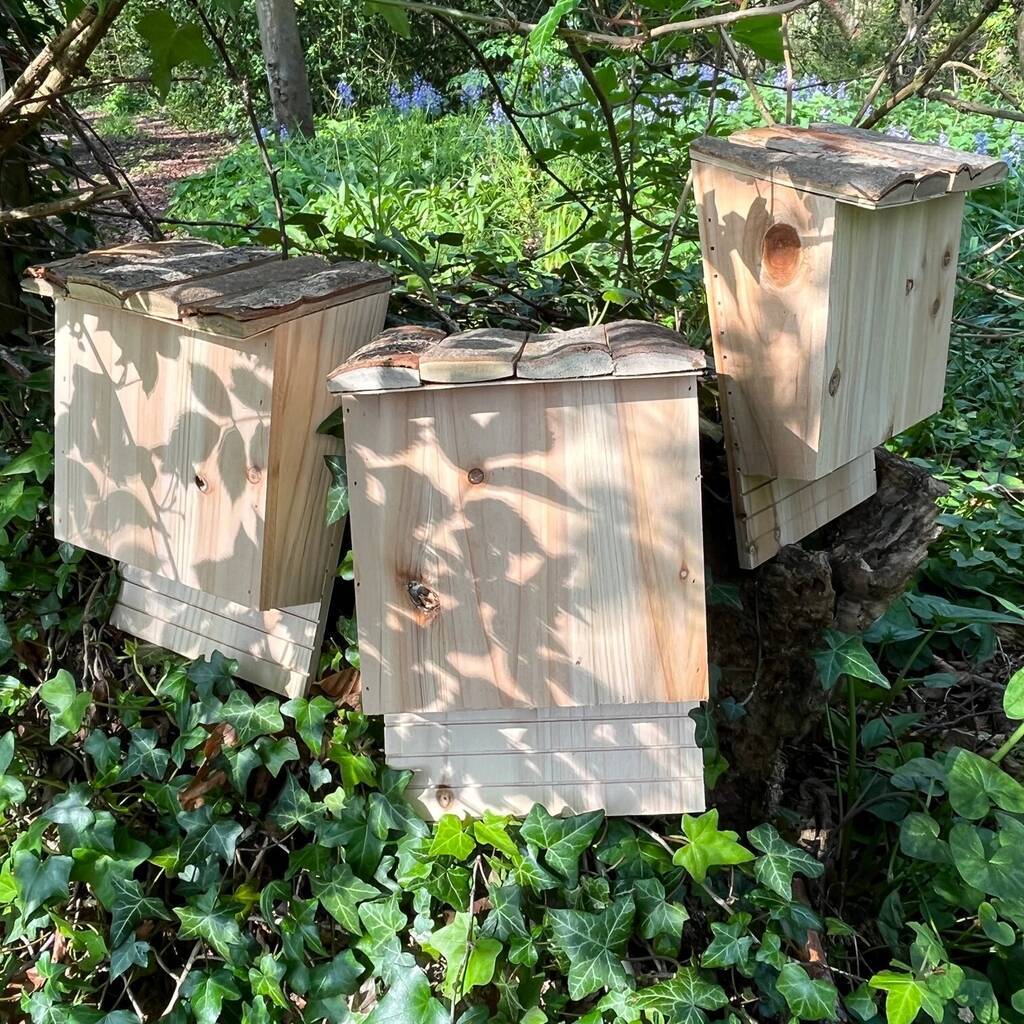 Set of 3 Large Wooden Bat Roosting Nesting Box Wildlife Habitat Shelter