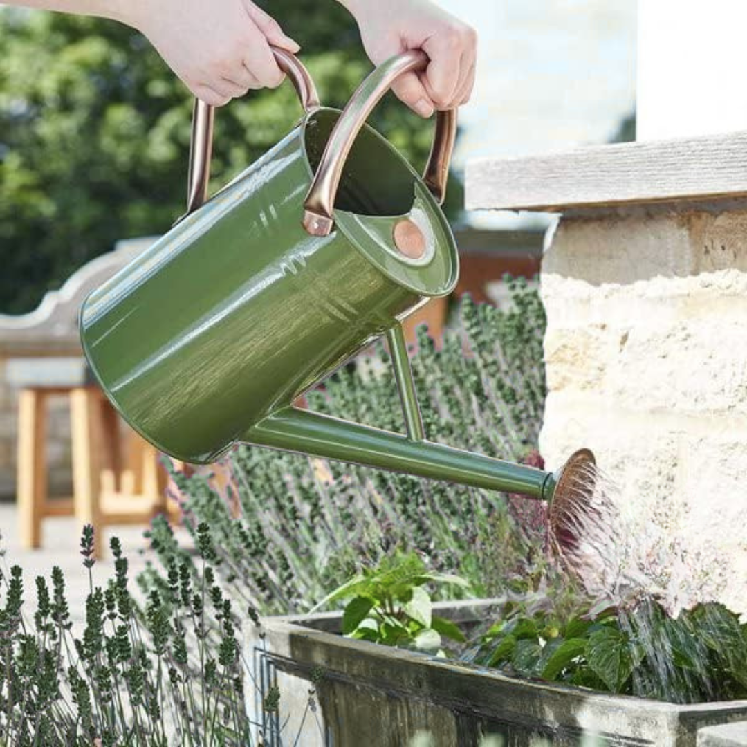 4.5L Sage Green Watering Can Alloy Steel Outdoor Indoor Lightweight Hand Held