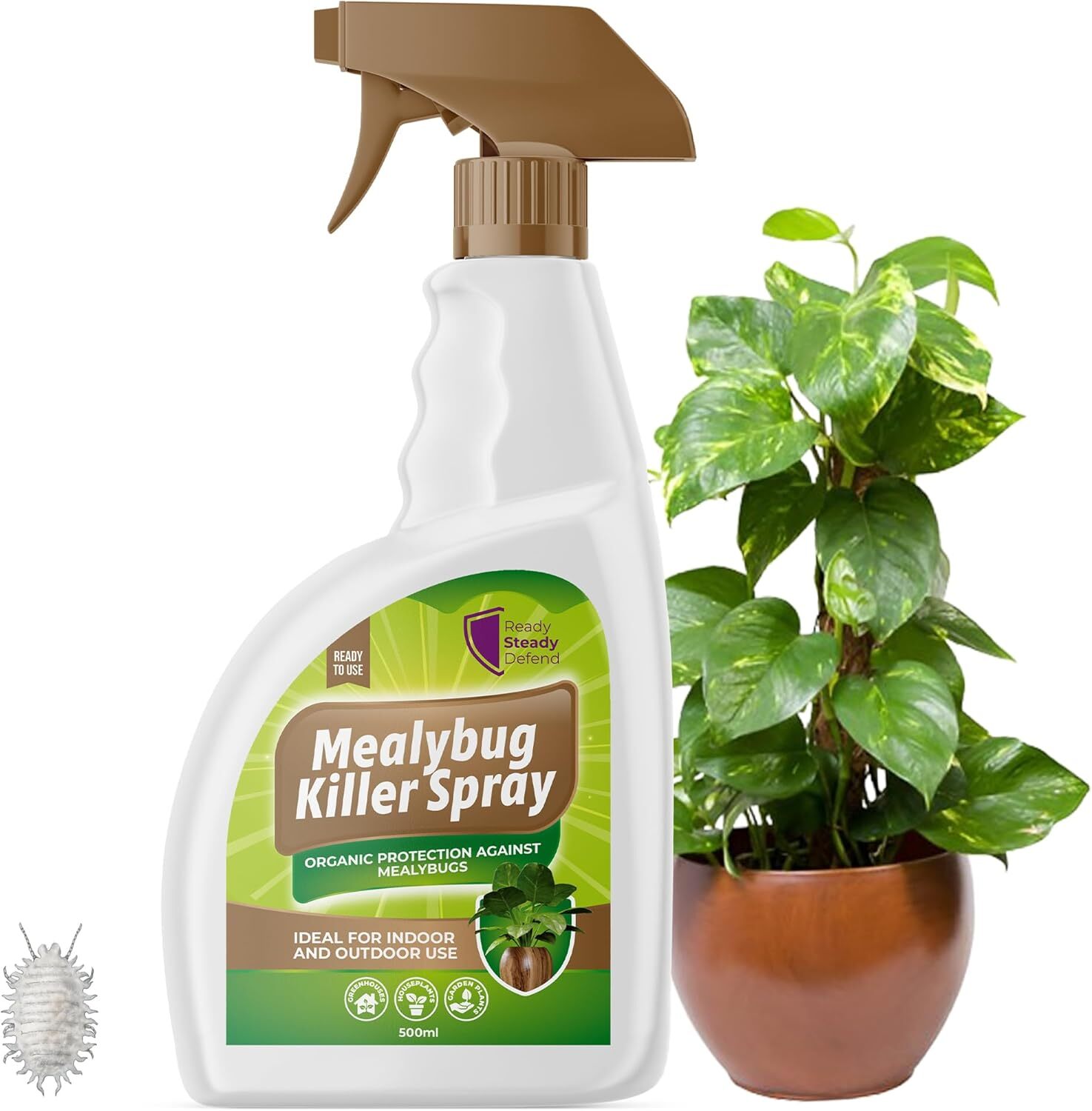 Mealybug Killer Spray 500ml - Bug Spray with Insecticidal Soap for Indoor Plant