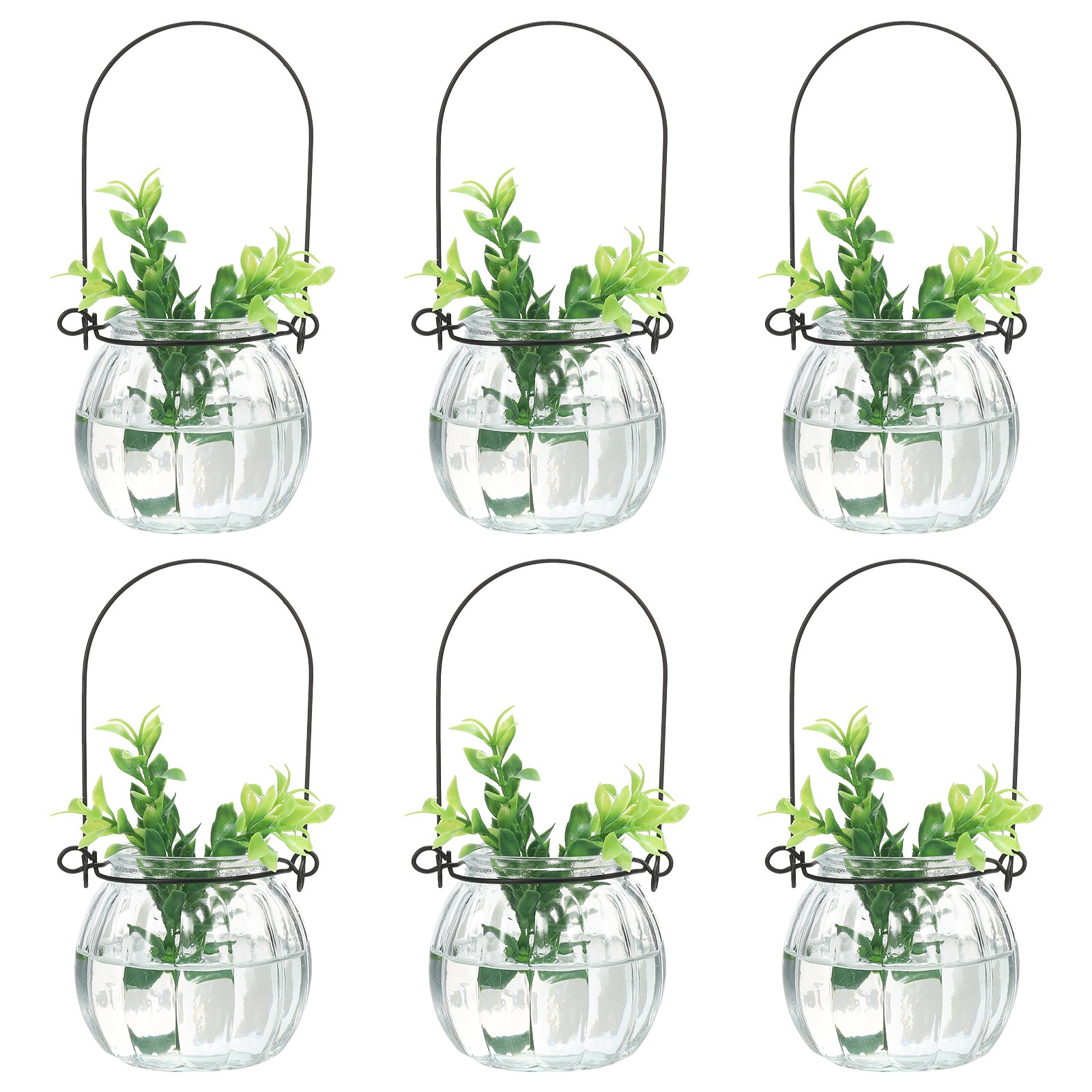 6 Pack Pumpkin Glass Terrarium Planter 2.4 Inch, Clear